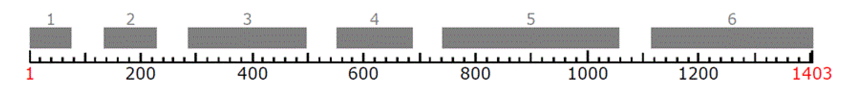 Forests 11 00592 g001