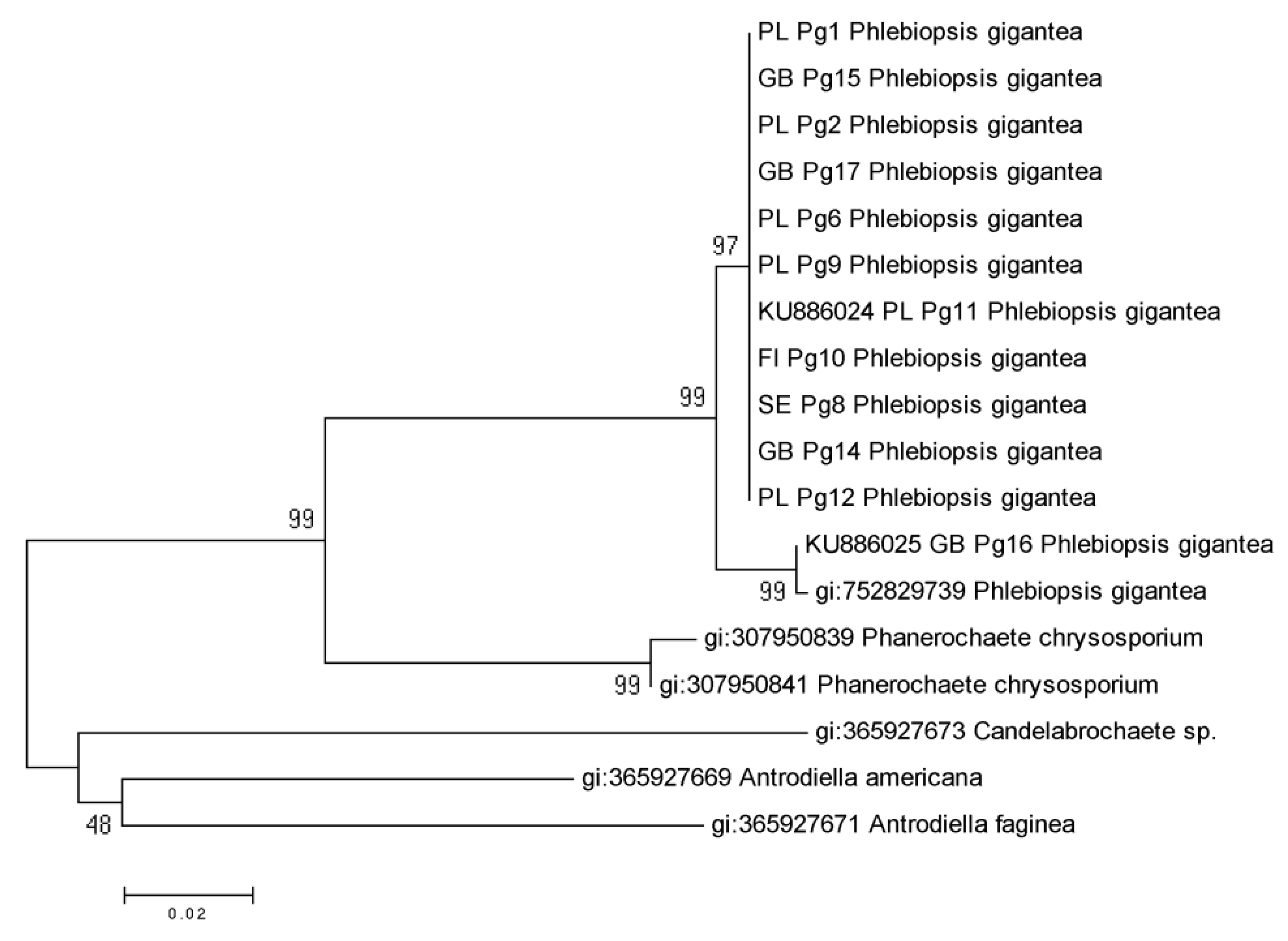 Forests 11 00592 g002