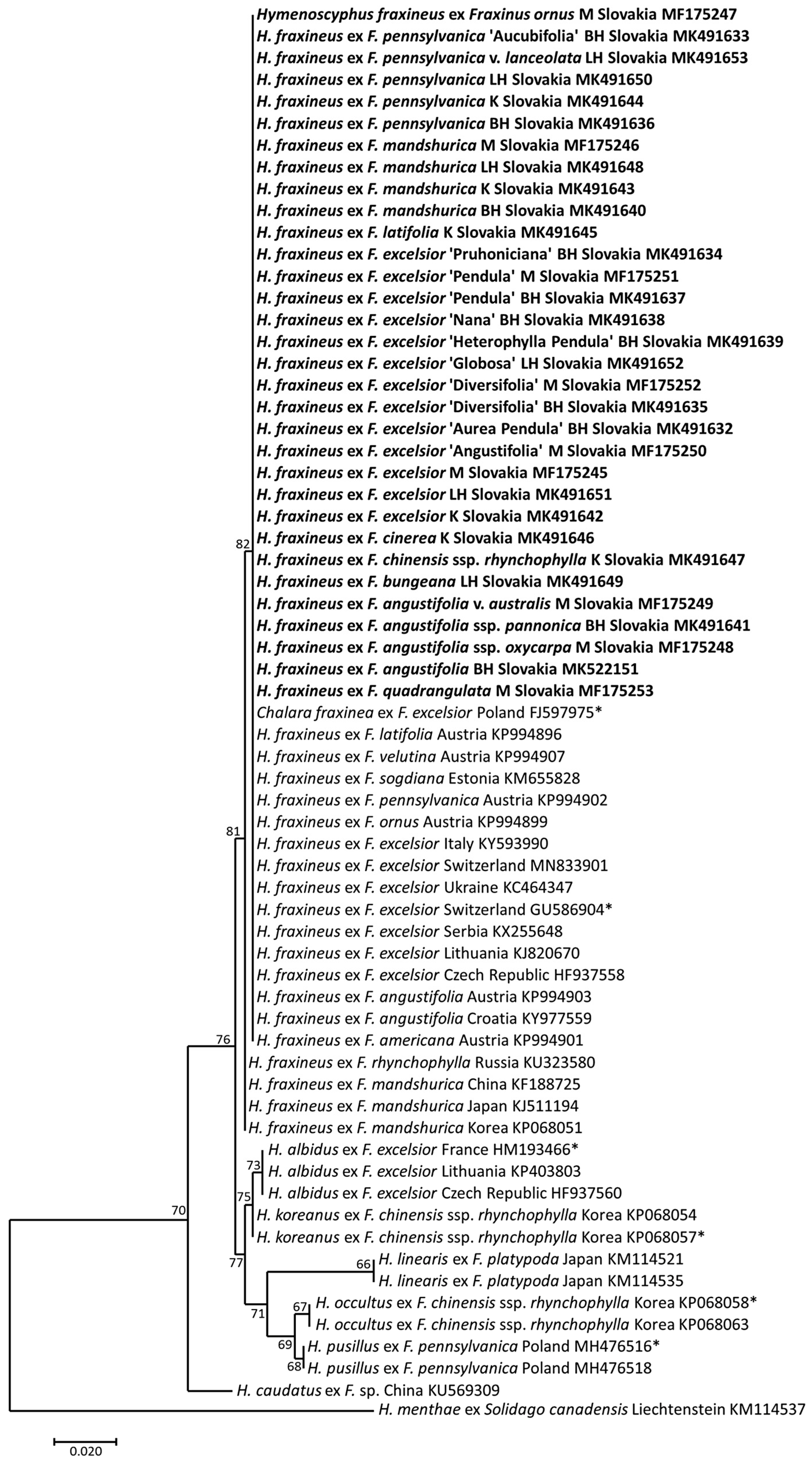 Forests 11 00596 g006 Forests 11 00596 g006