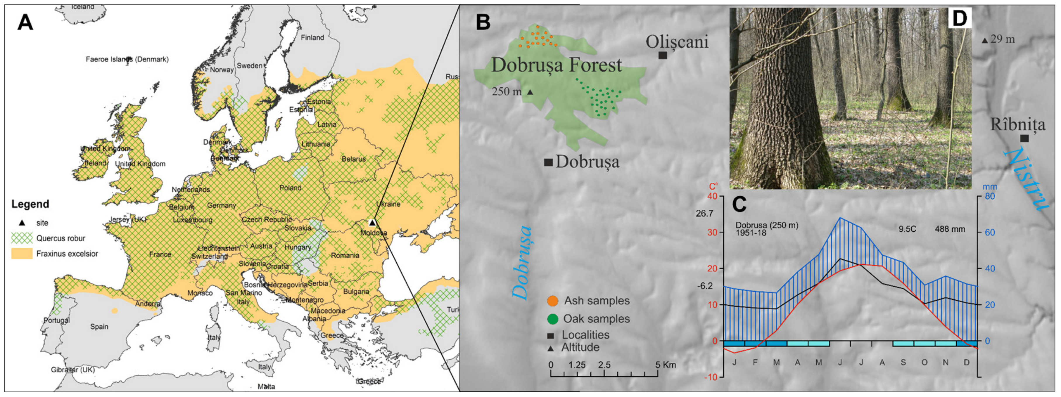 Forests 11 00600 g001 Forests 11 00600 g001