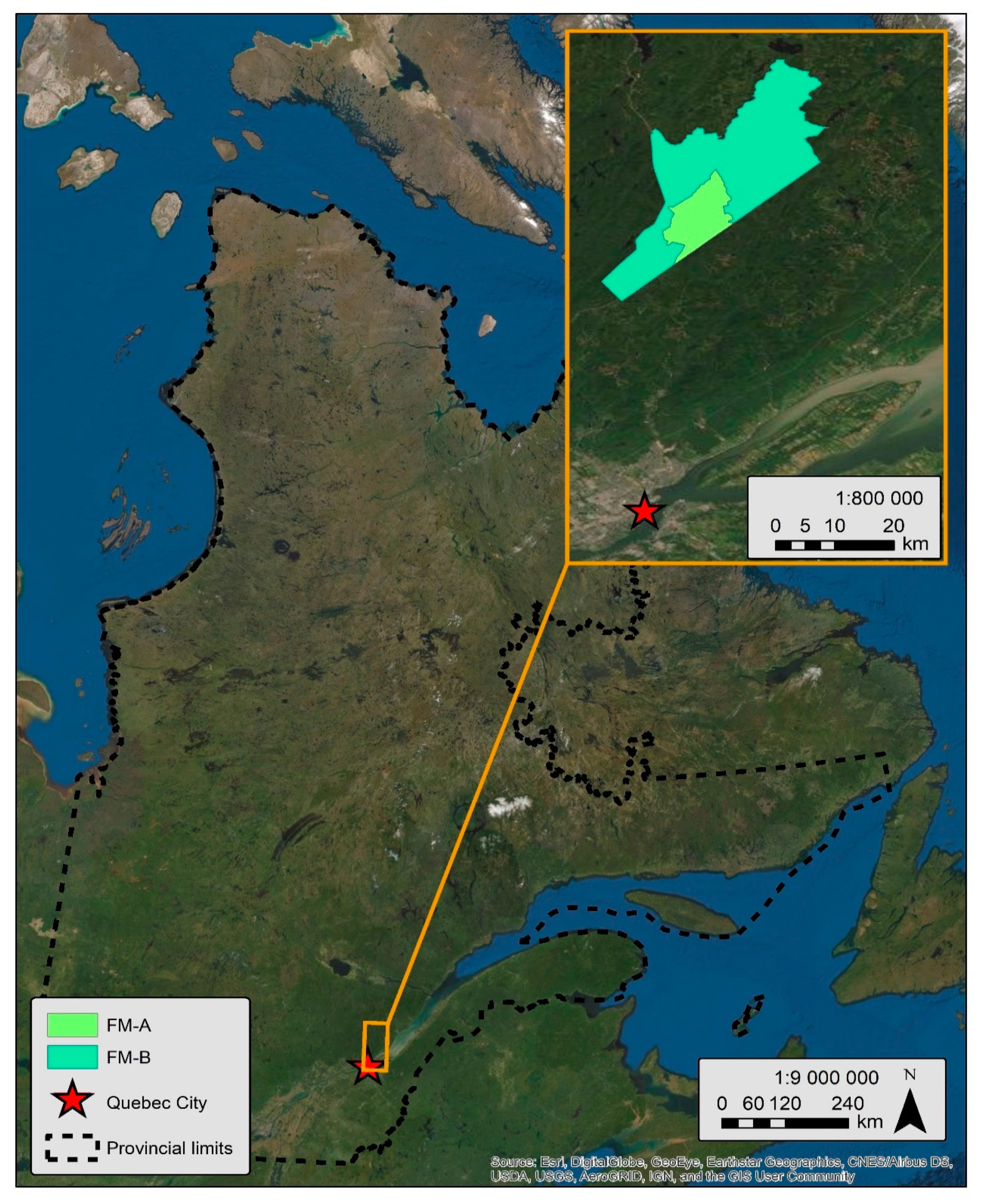 Forests 11 00601 g0a1 Forests 11 00601 g0a1