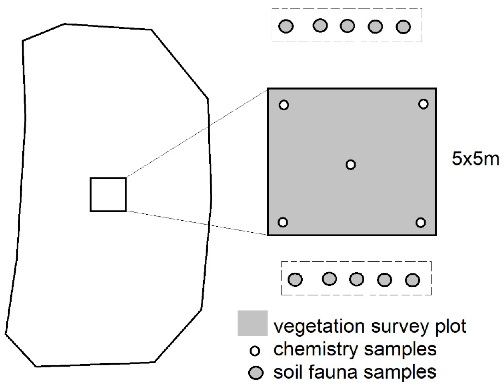 Forests 11 00602 g001 Forests 11 00602 g001