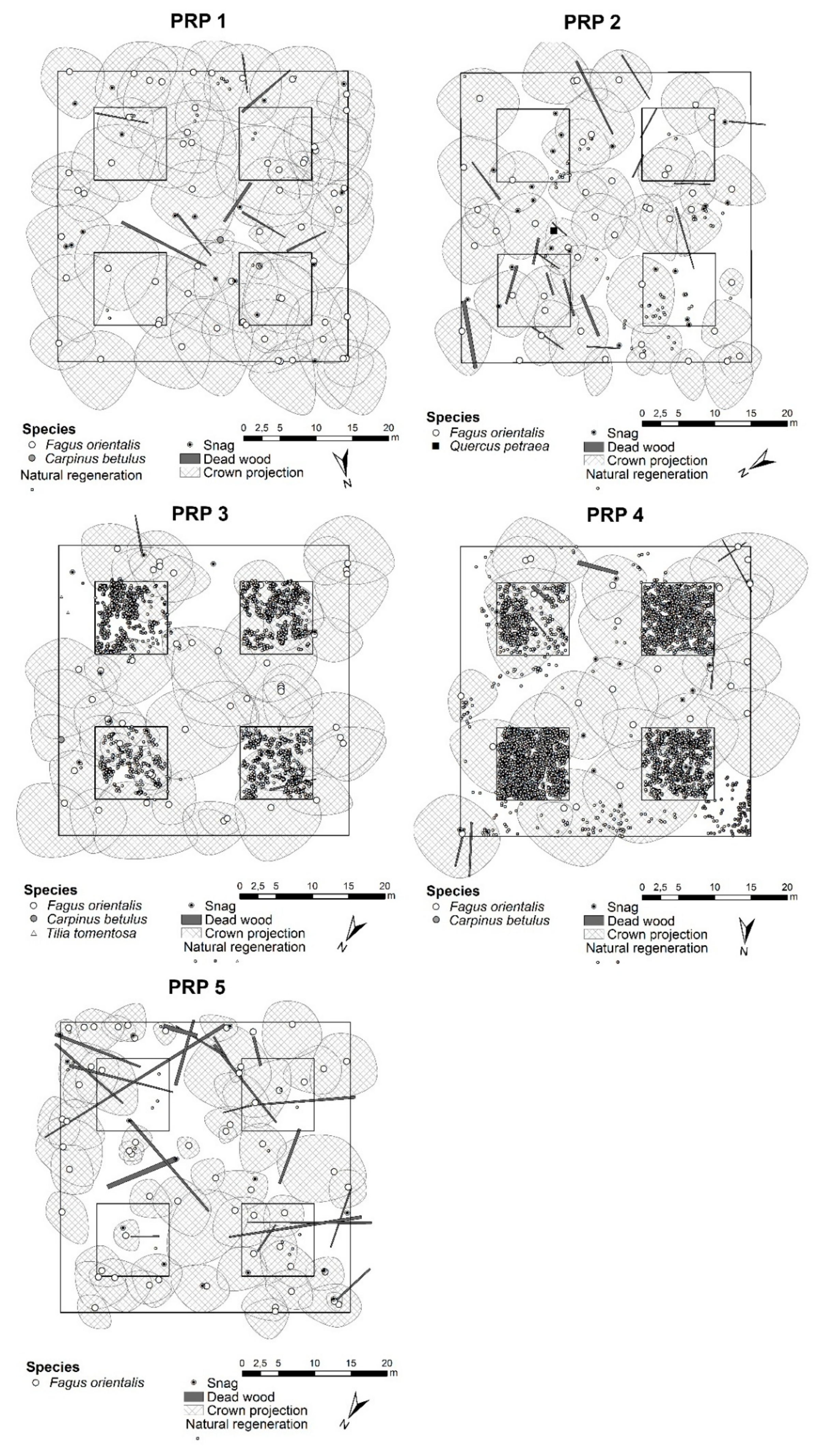 Forests 11 00603 g002