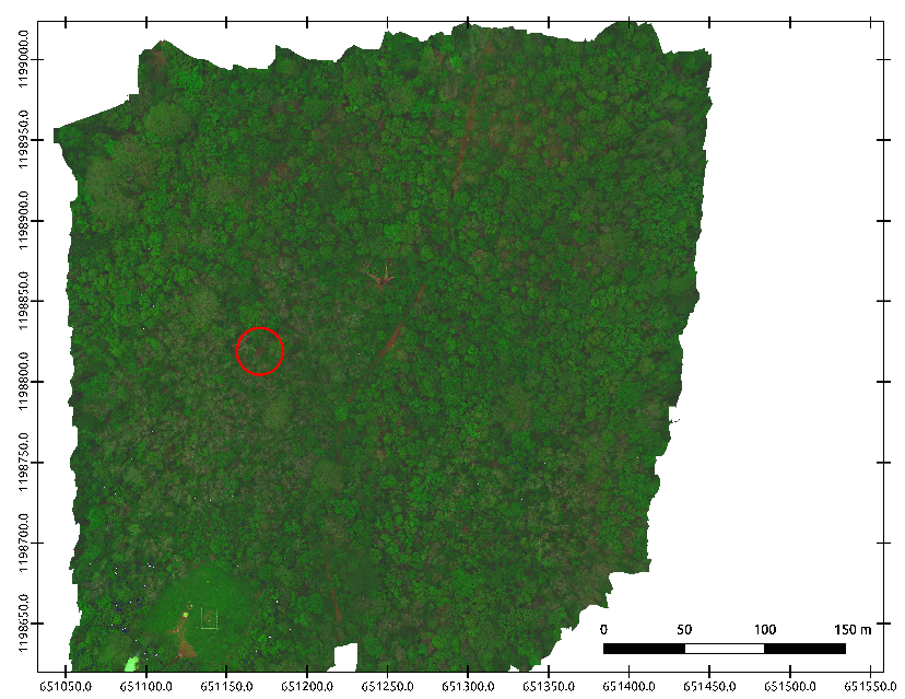 Forests 11 00604 g003 Forests 11 00604 g003