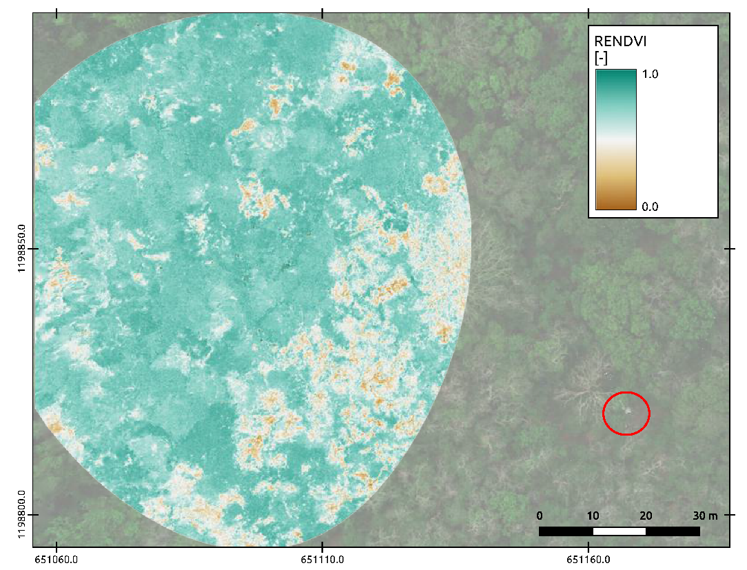 Forests 11 00604 g005 Forests 11 00604 g005