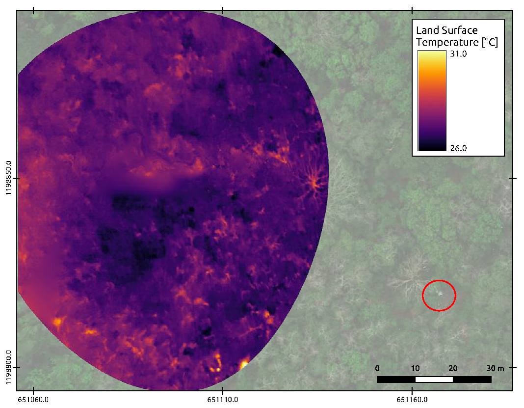 Forests 11 00604 g006 Forests 11 00604 g006