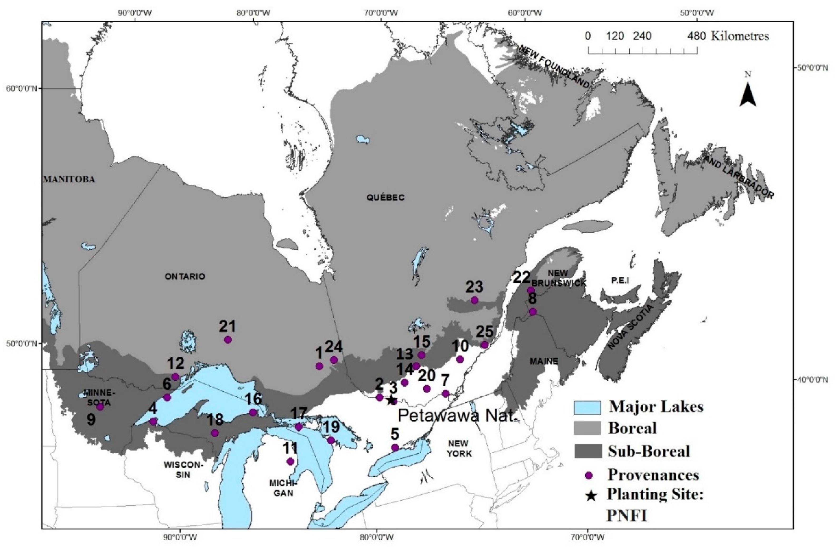 Forests 11 00609 g0a1 Forests 11 00609 g0a1