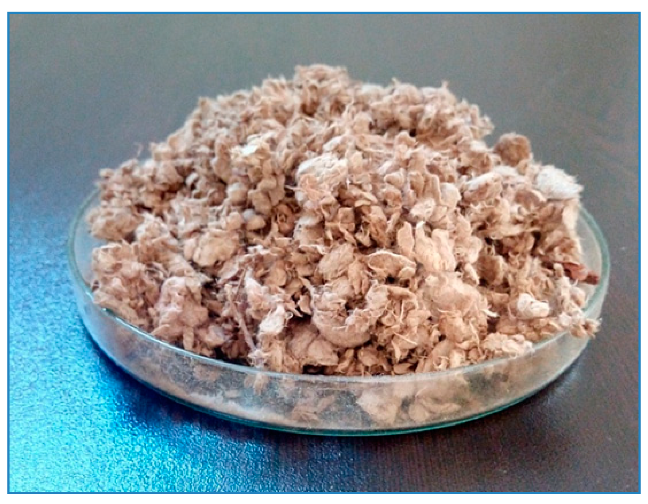 Forests 11 00613 g001