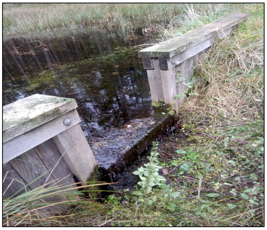 Forests 11 00614 g003