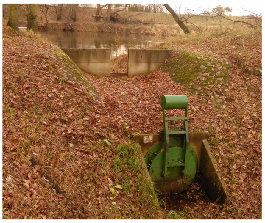 Forests 11 00614 g004