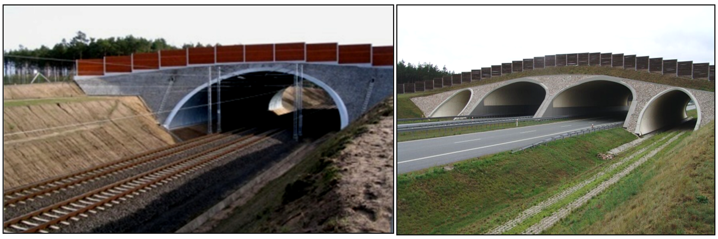 Forests 11 00614 g011