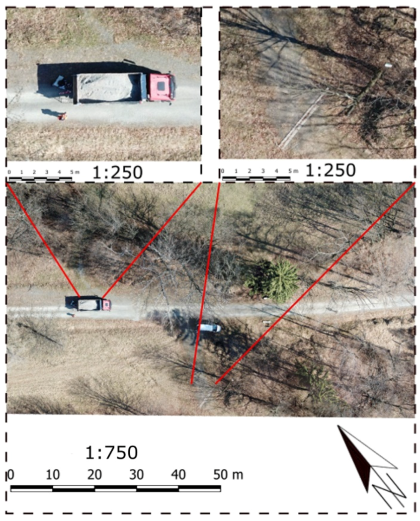 Forests 11 00614 g013