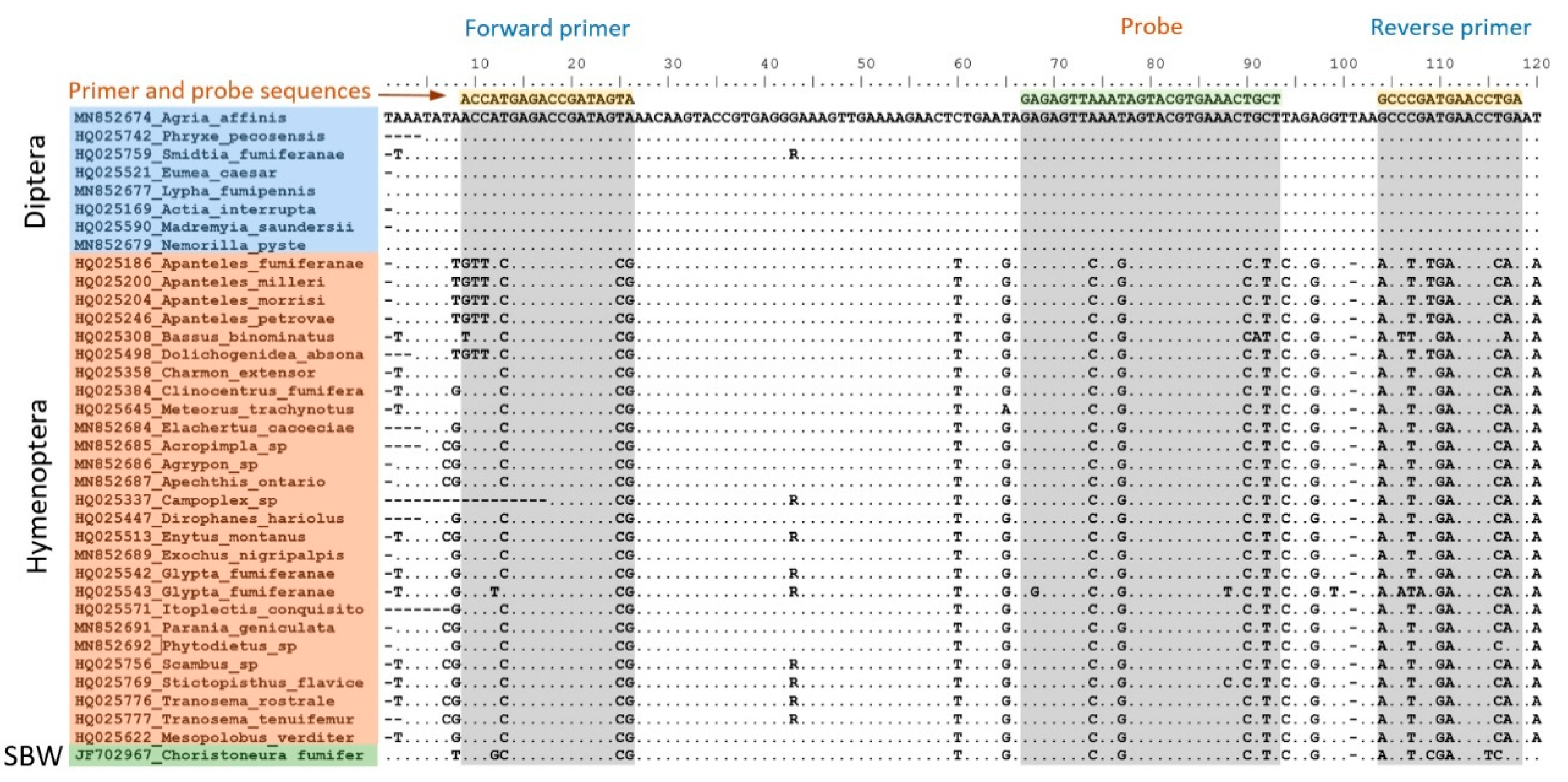 Forests 11 00621 g001 Forests 11 00621 g001