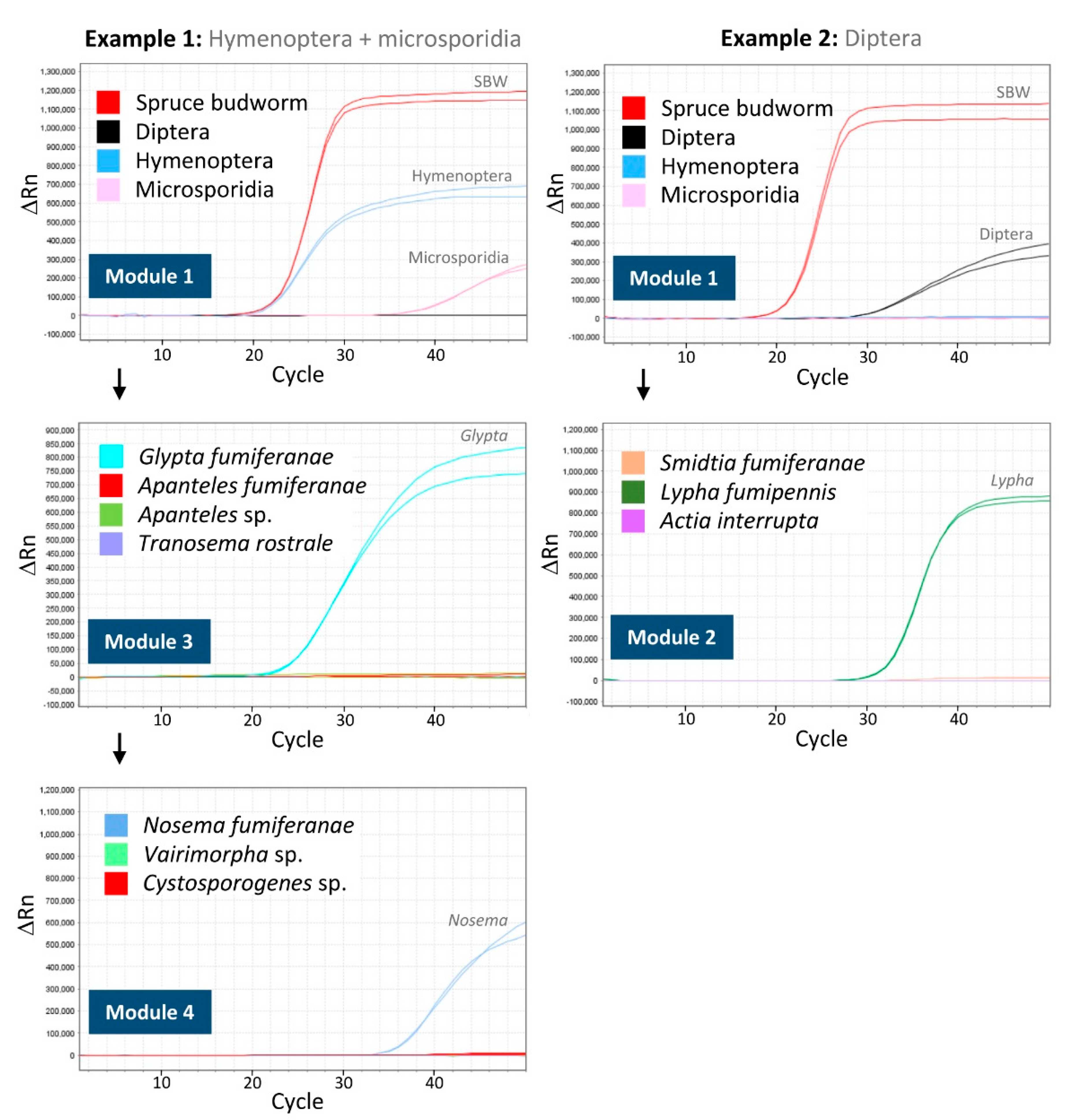Forests 11 00621 g003 Forests 11 00621 g003
