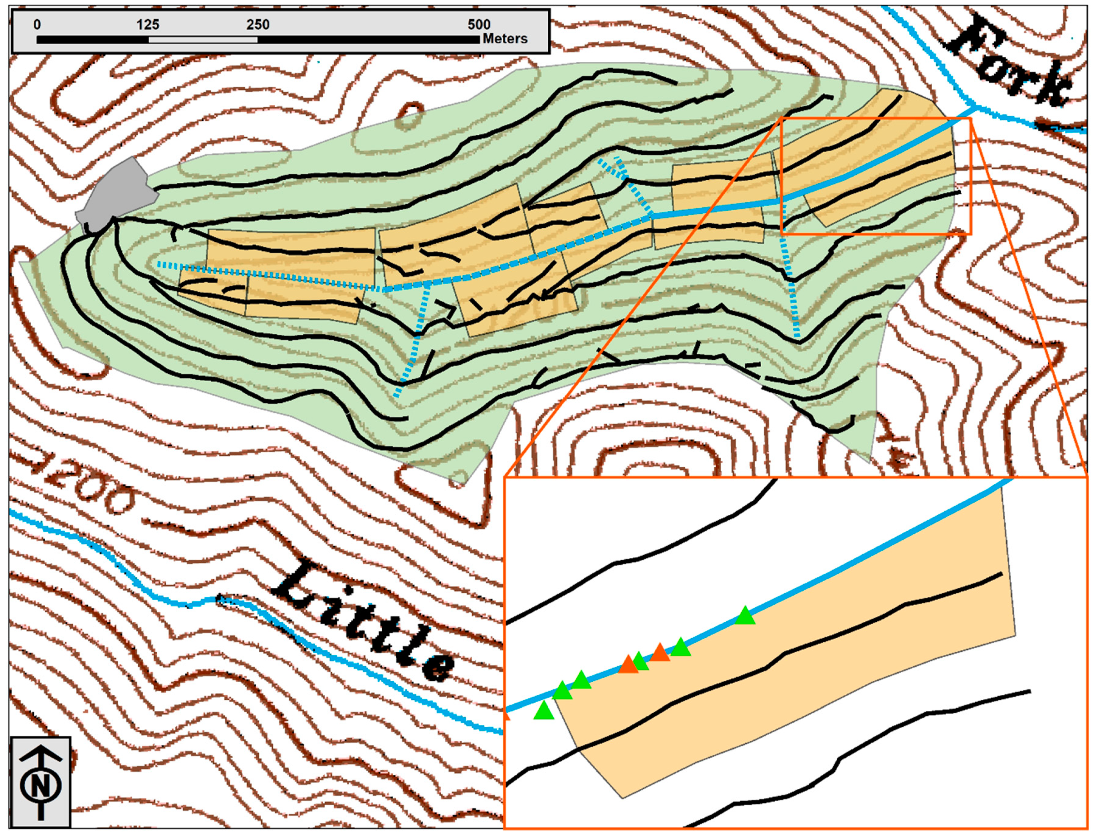 Forests 11 00623 g001