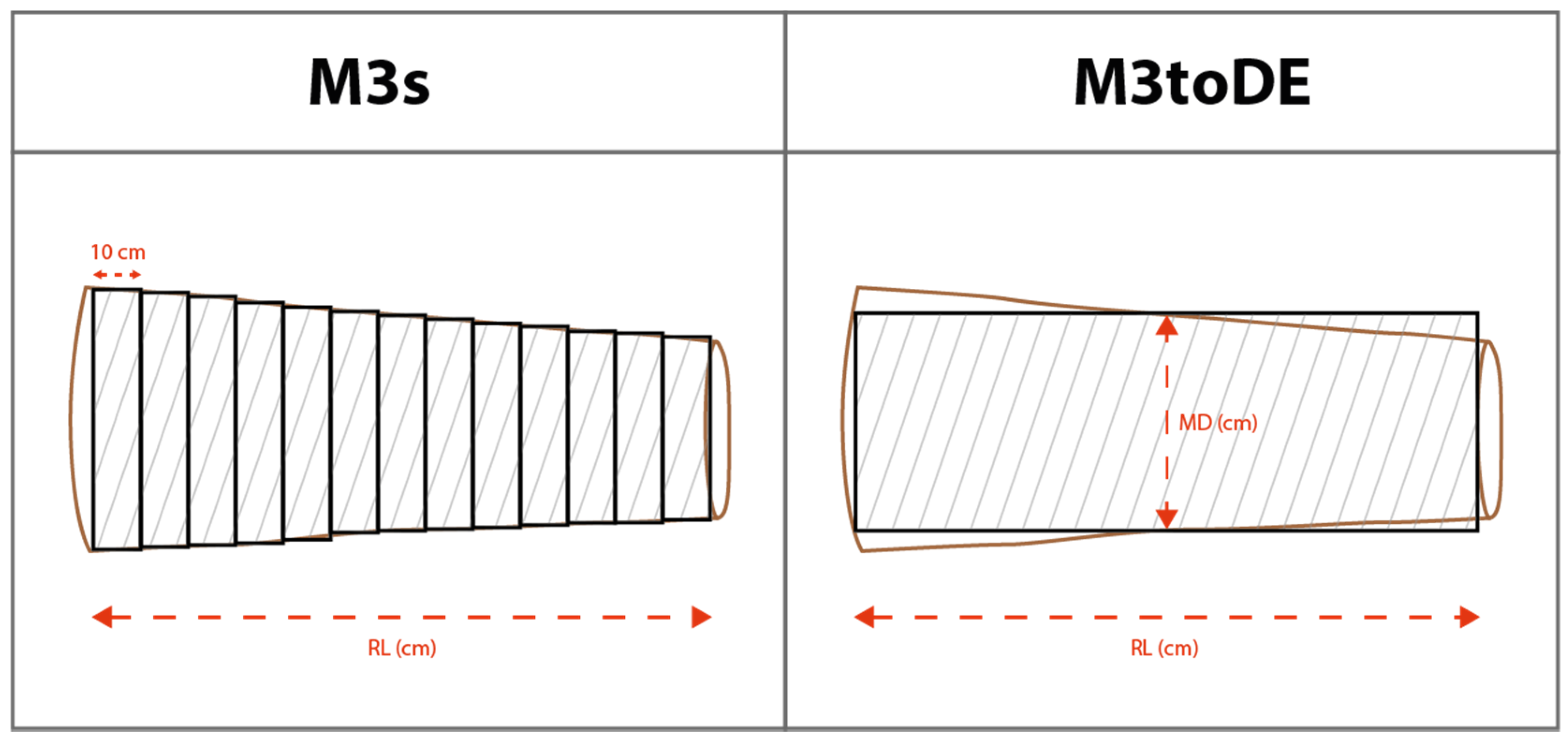 Forests 11 00626 g001