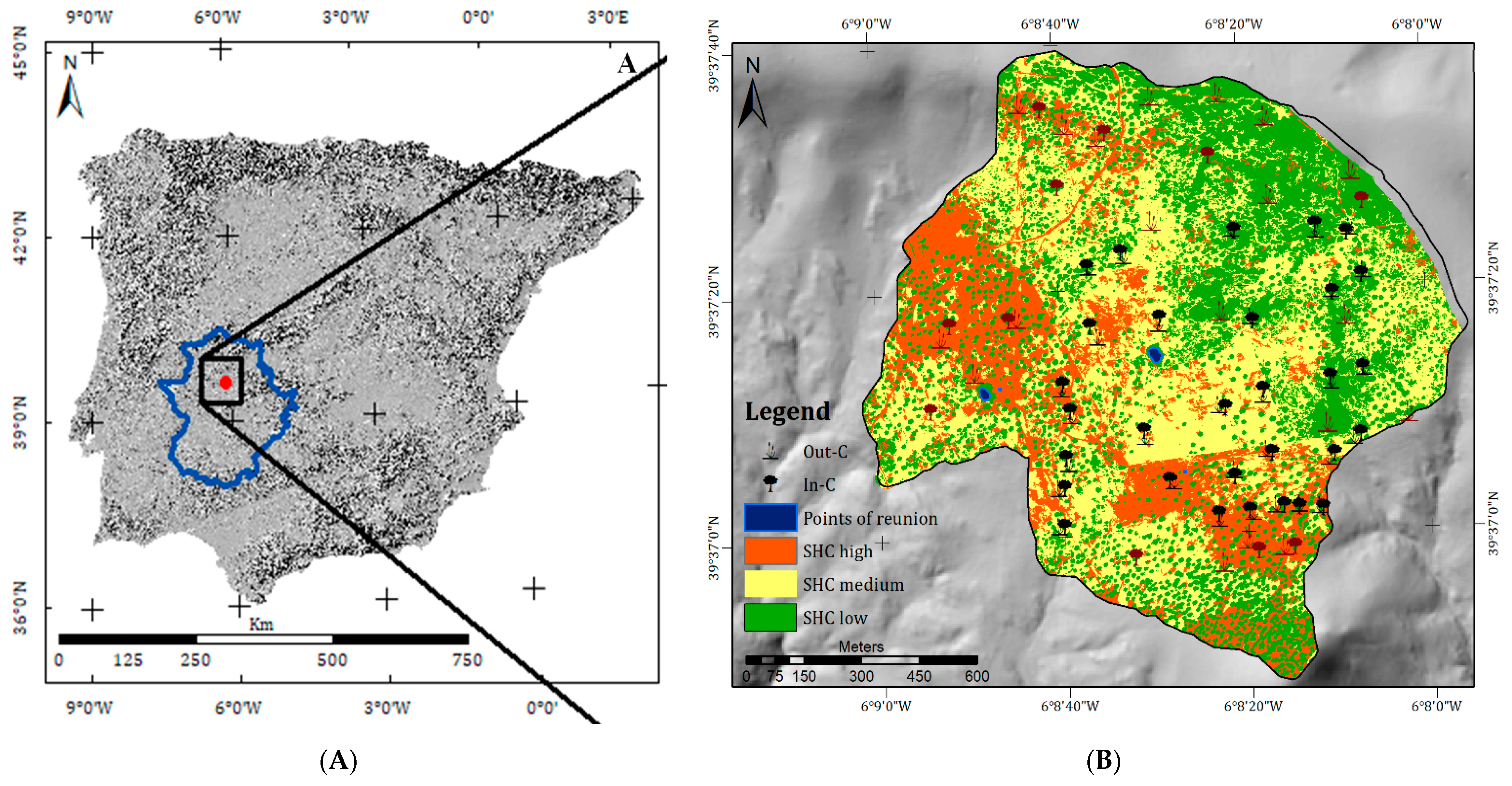 Forests 11 00628 g001 Forests 11 00628 g001