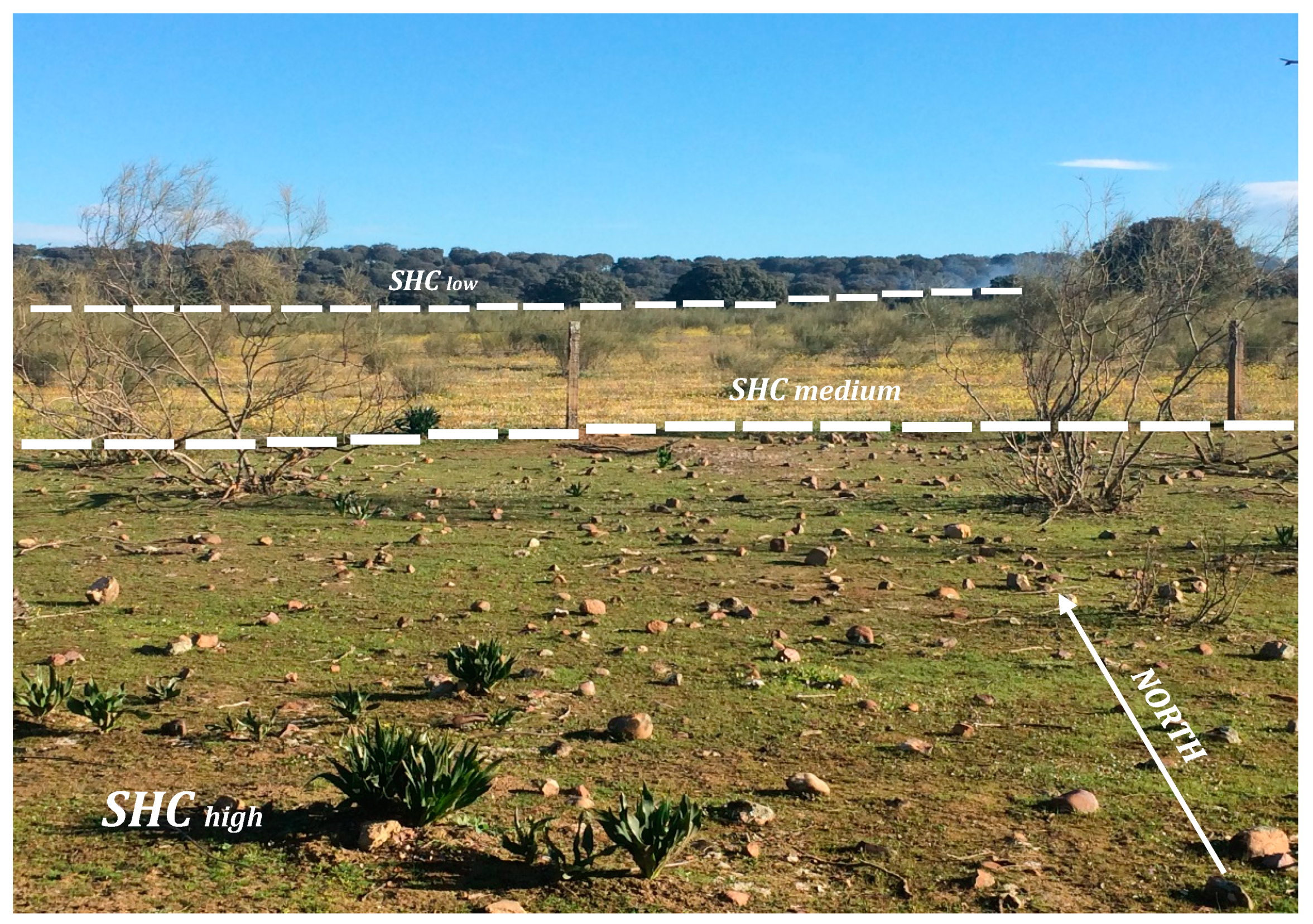 Forests 11 00628 g002 Forests 11 00628 g002