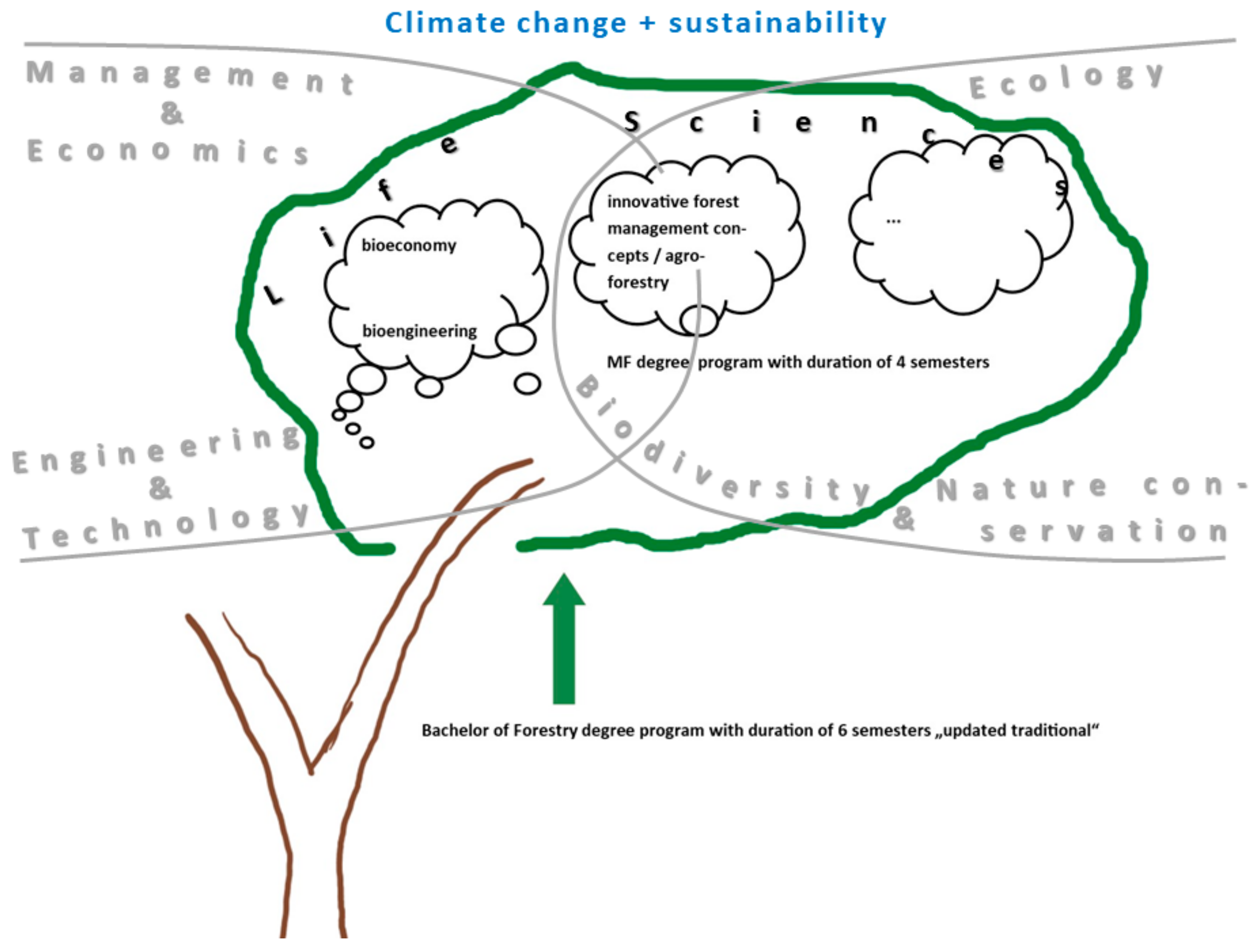 Development of an Interdisciplinary Master of Forestry Program ...
