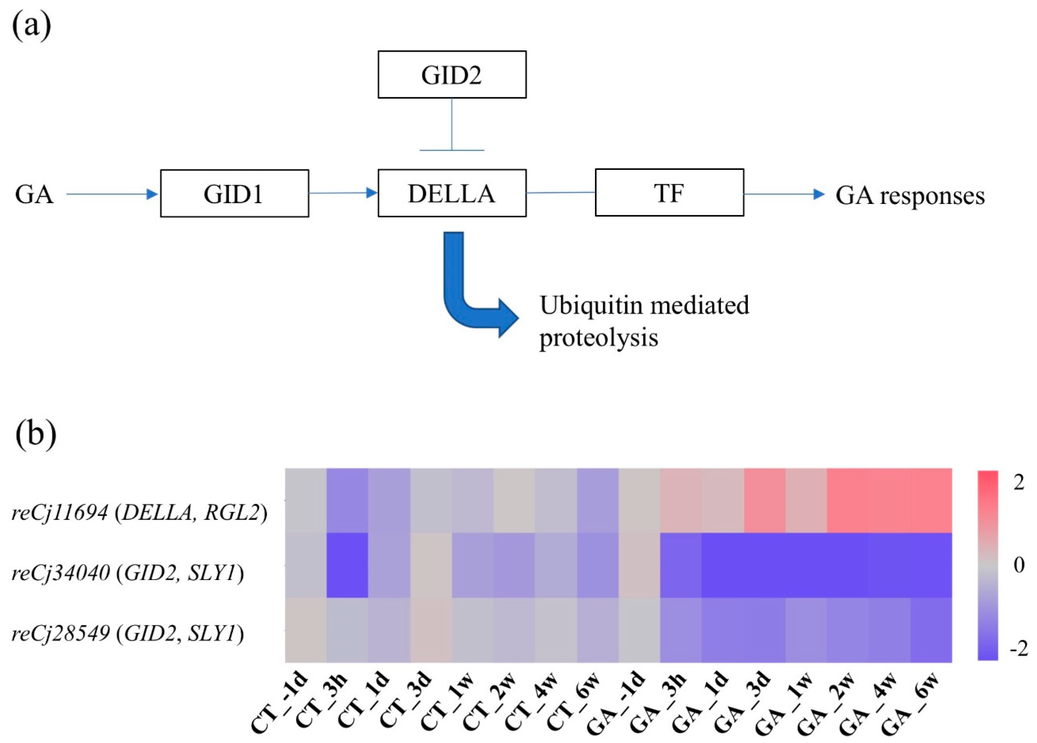 Forests 11 00633 g004 Forests 11 00633 g004