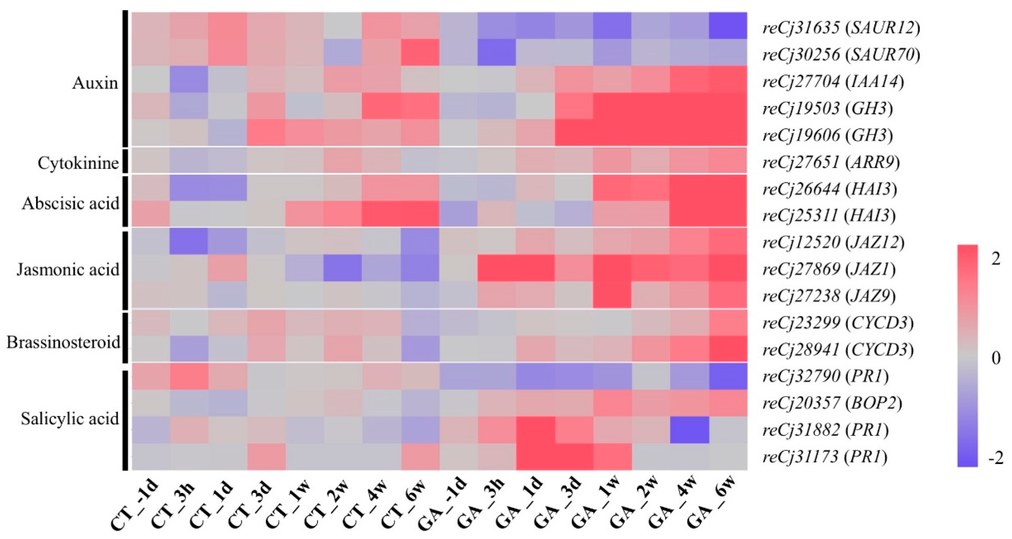 Forests 11 00633 g005 Forests 11 00633 g005