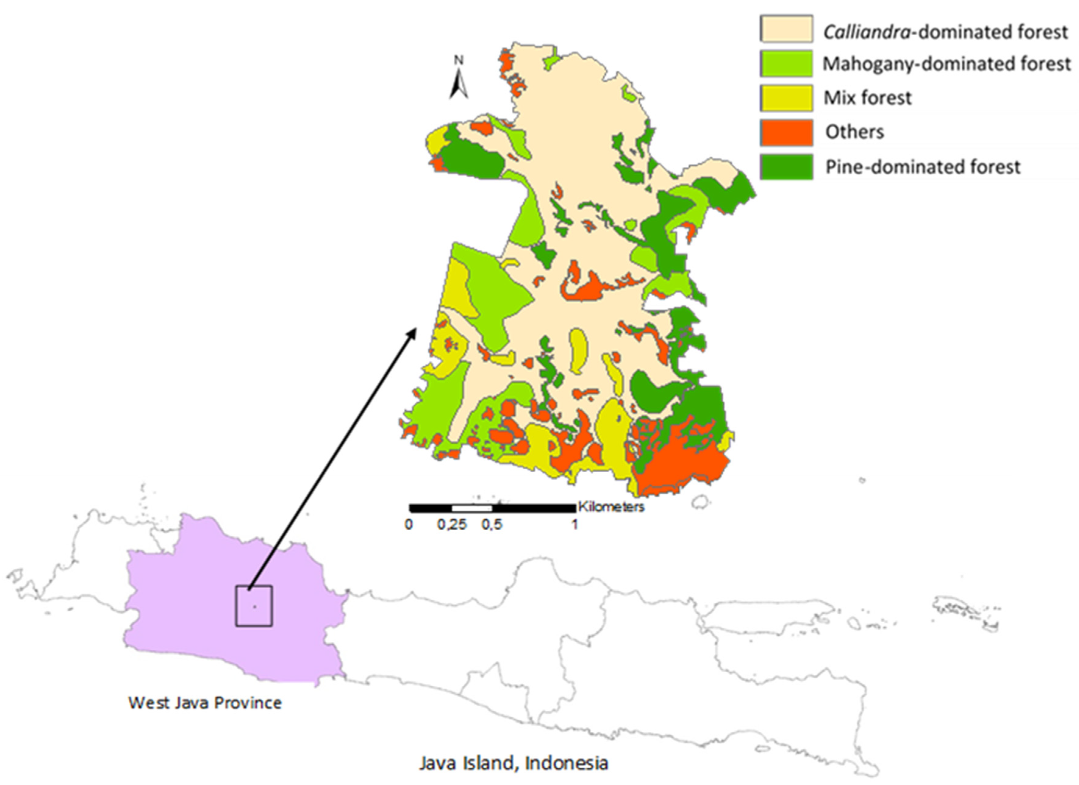 Forests 11 00636 g001