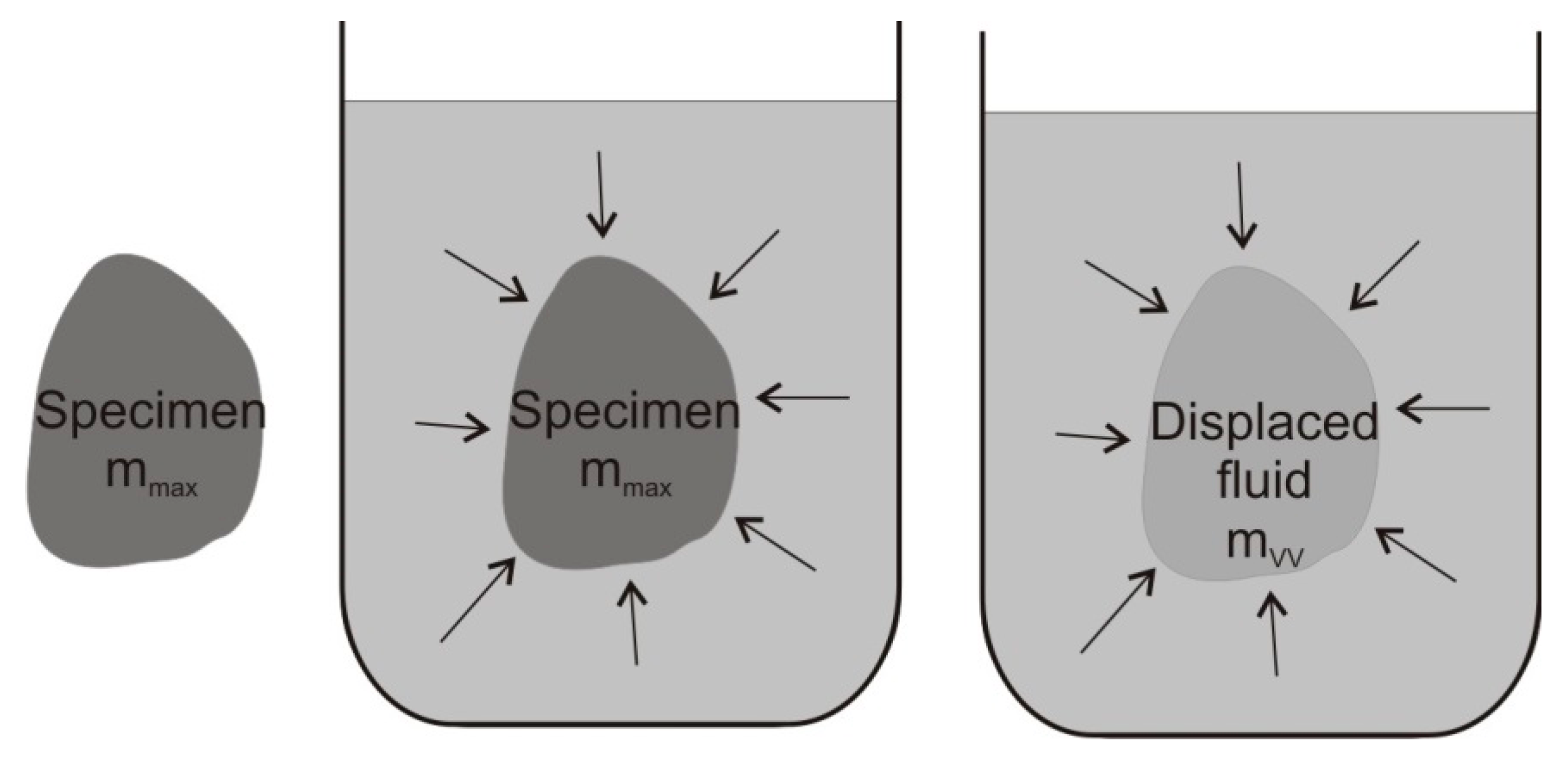Forests 11 00640 g001