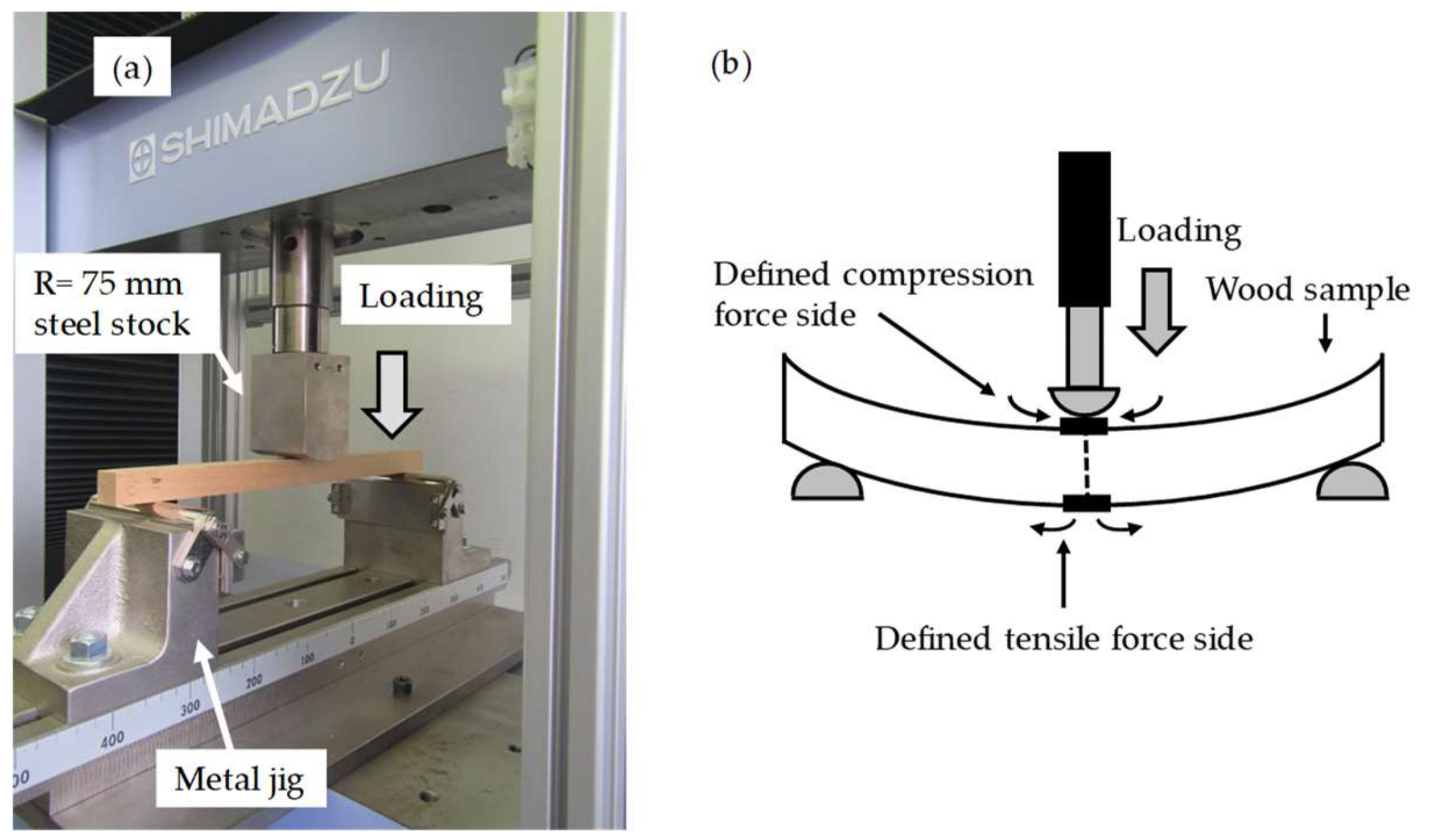 Forests 11 00644 g003