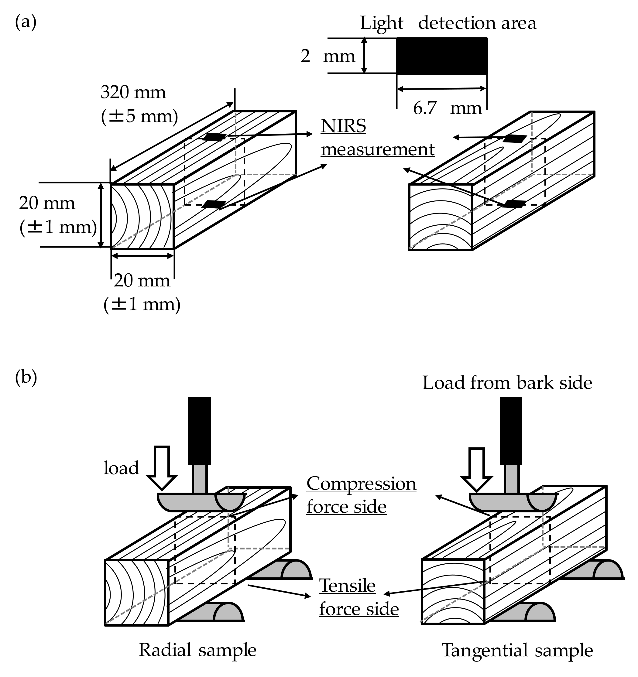 Forests 11 00644 g004