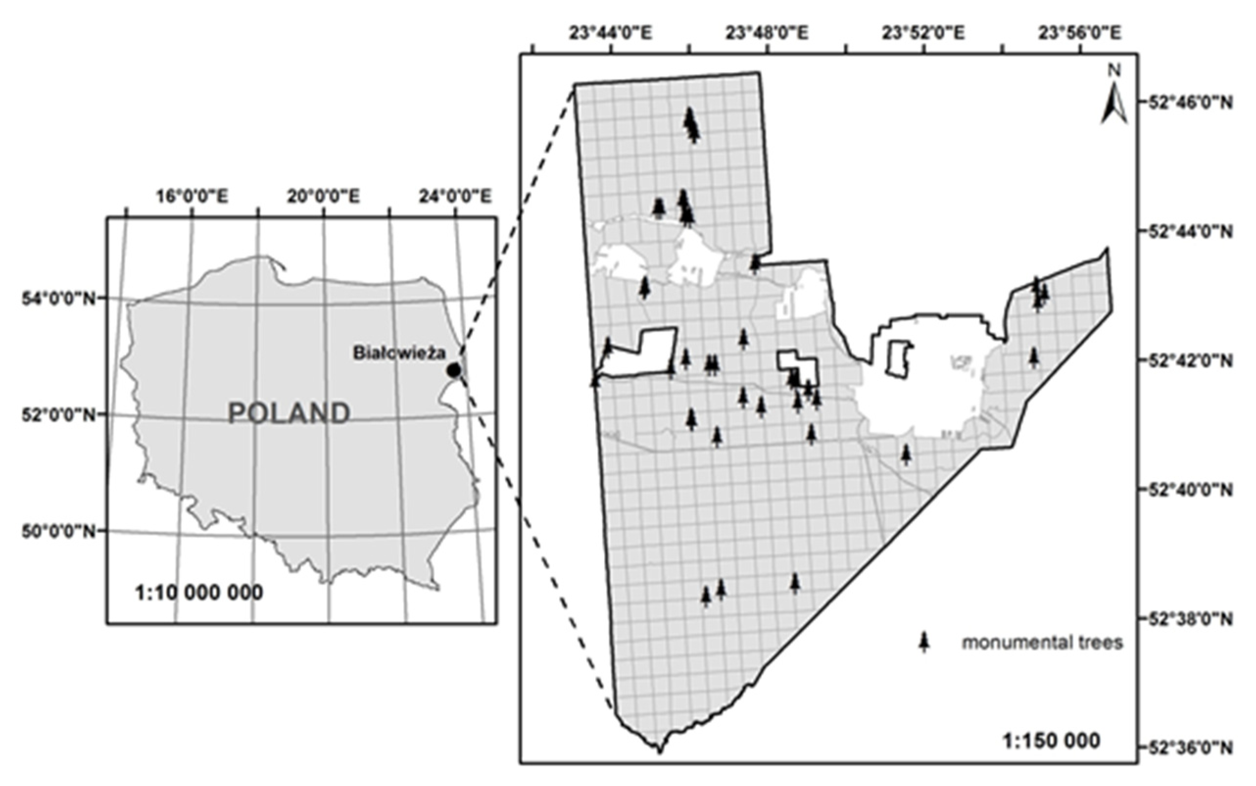 Forests 11 00647 g001