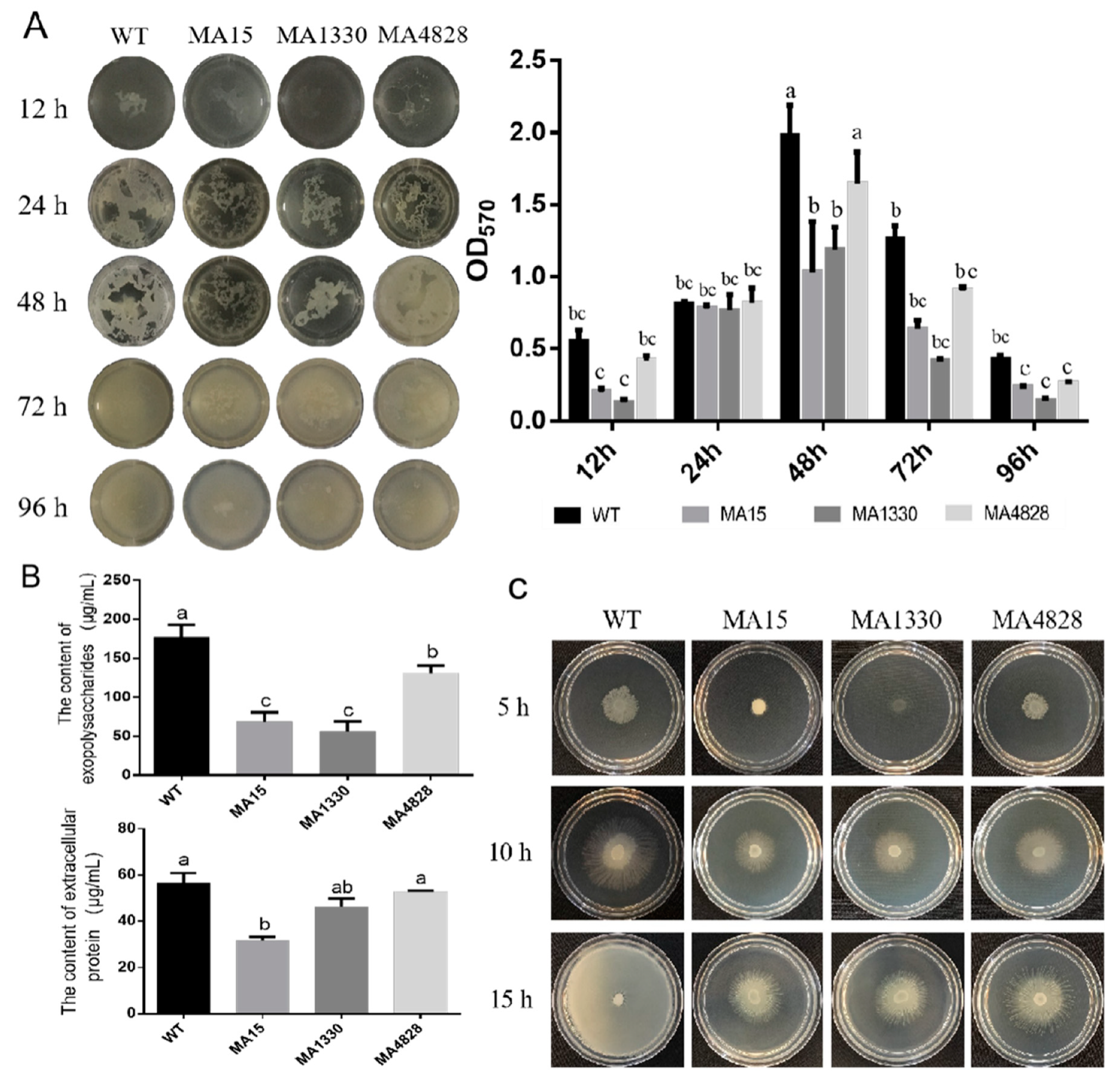 Forests 11 00652 g002 Forests 11 00652 g002