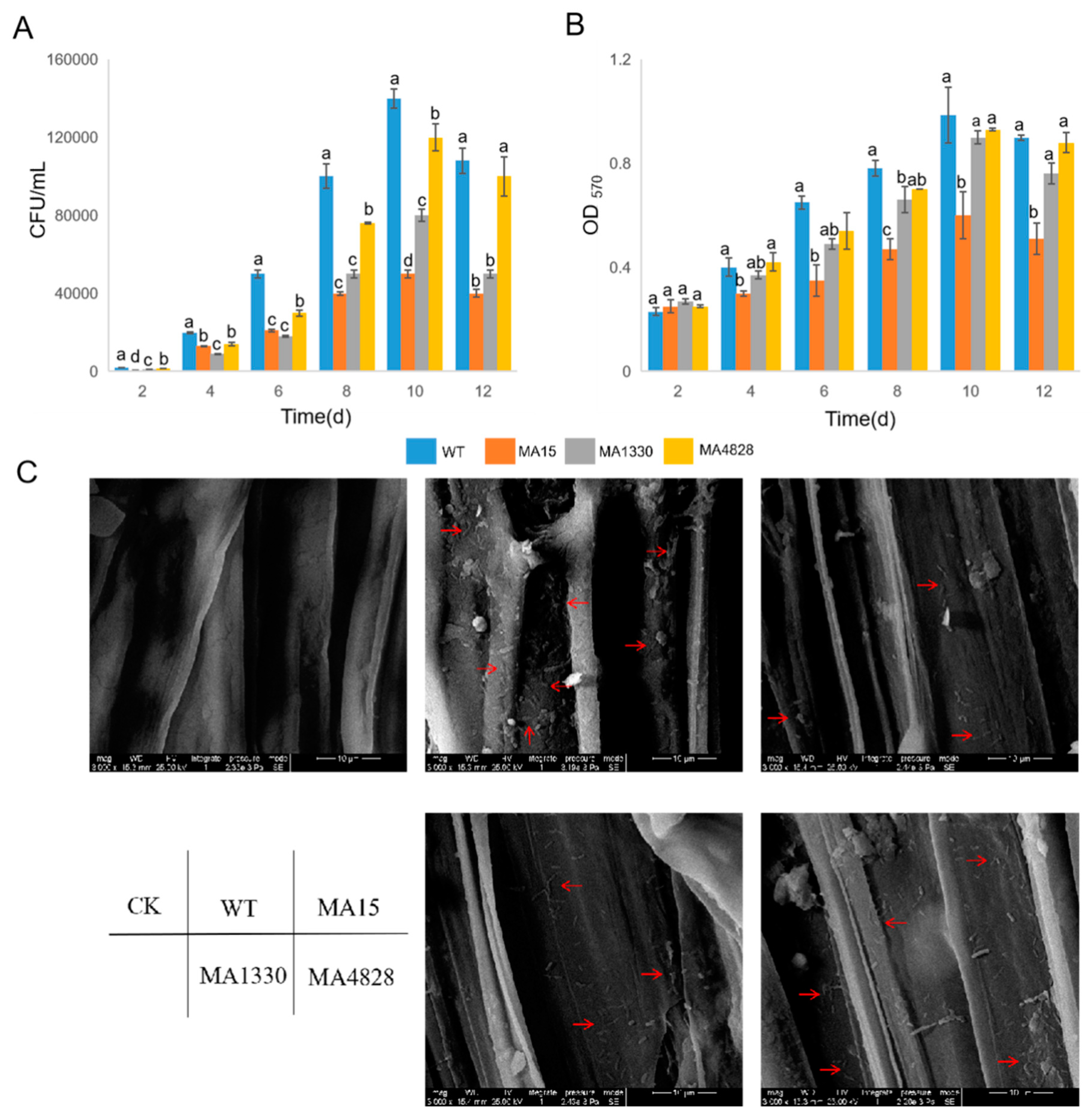 Forests 11 00652 g004 Forests 11 00652 g004