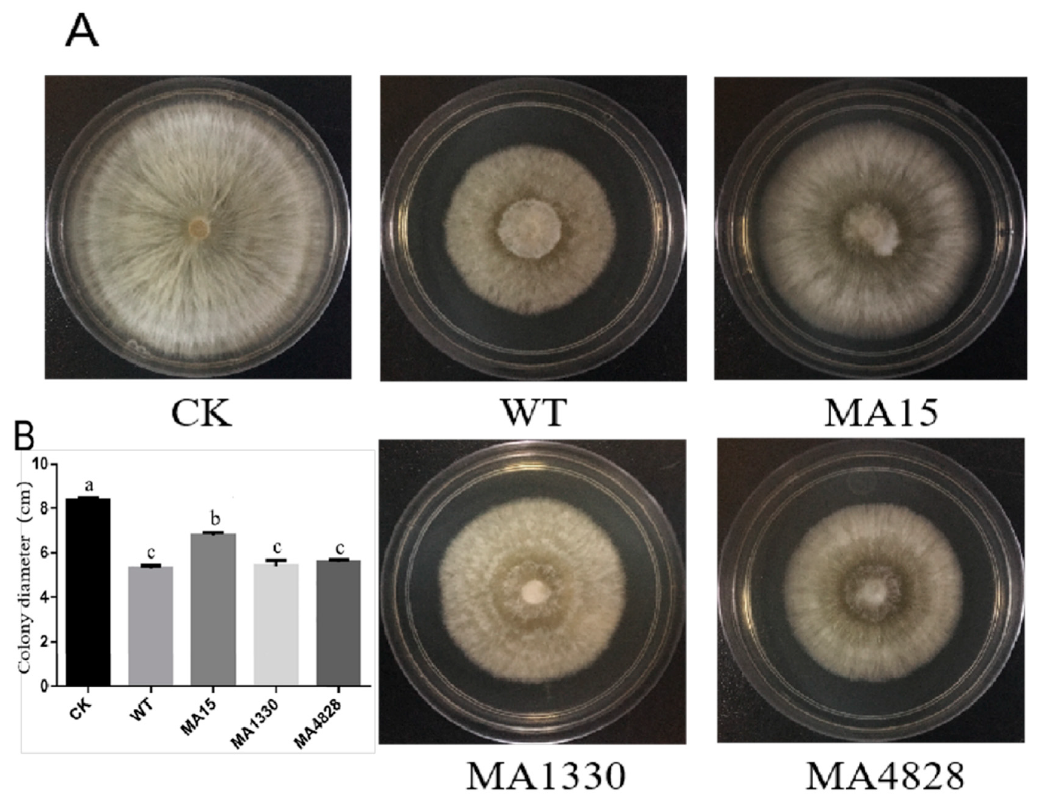 Forests 11 00652 g005 Forests 11 00652 g005