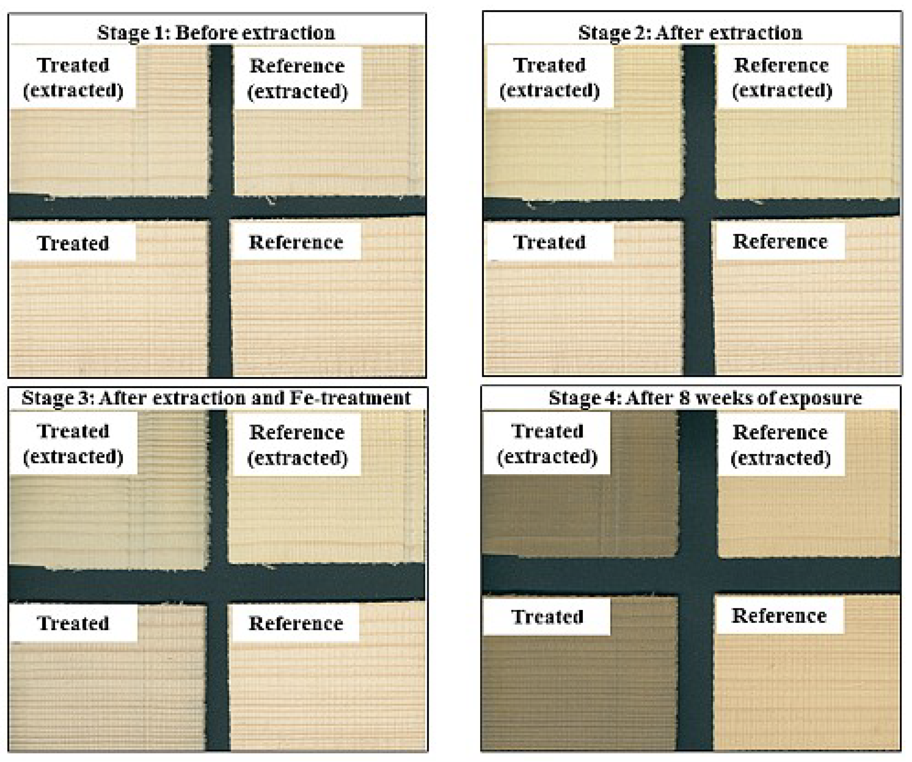 Forests 11 00658 g003