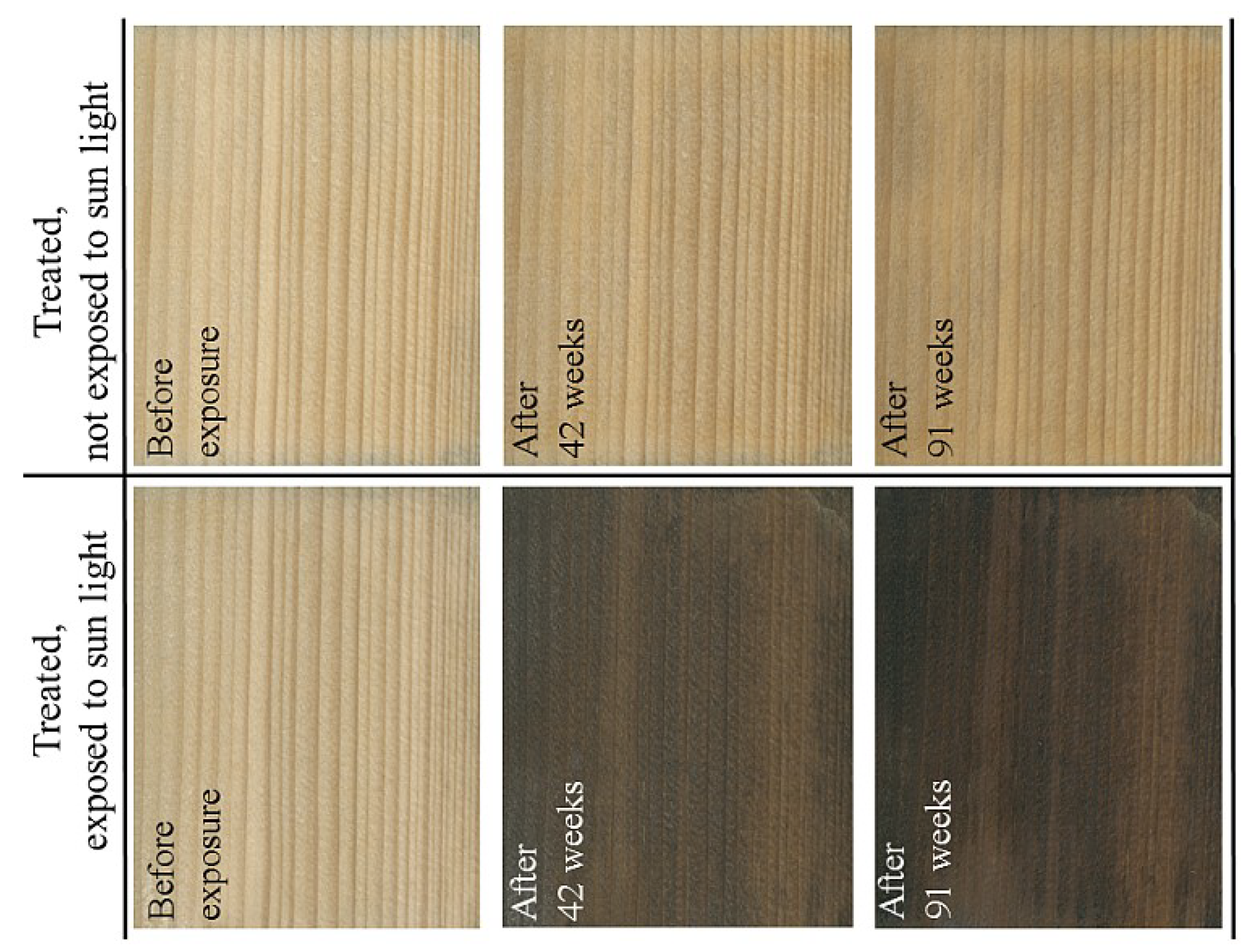 Forests 11 00658 g005