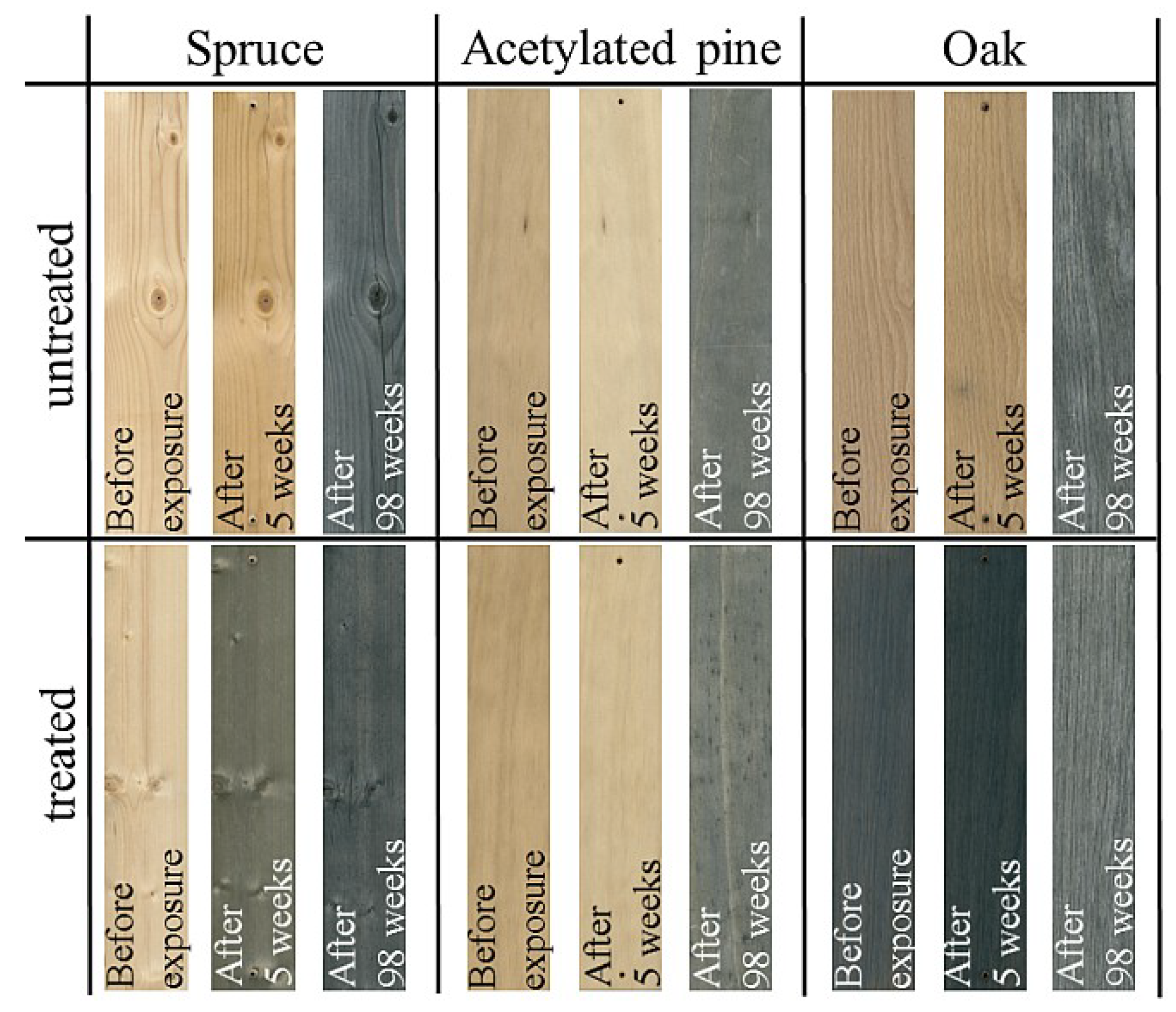 Forests 11 00658 g006