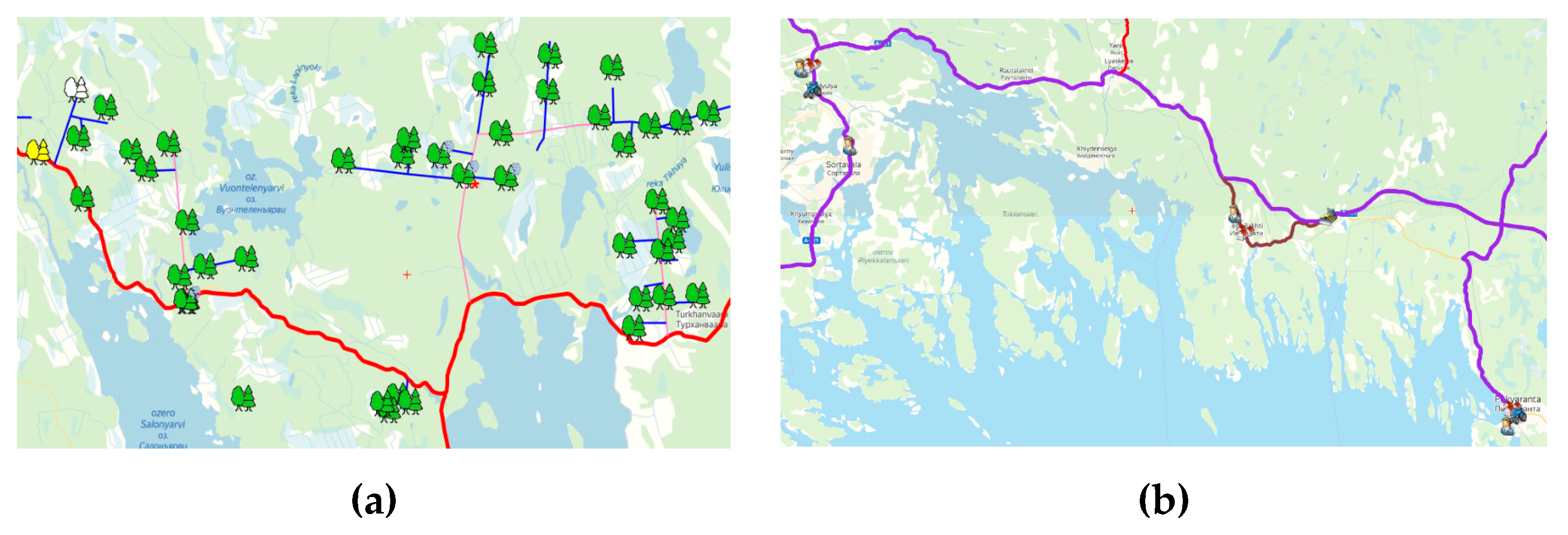 Forests 11 00662 g002