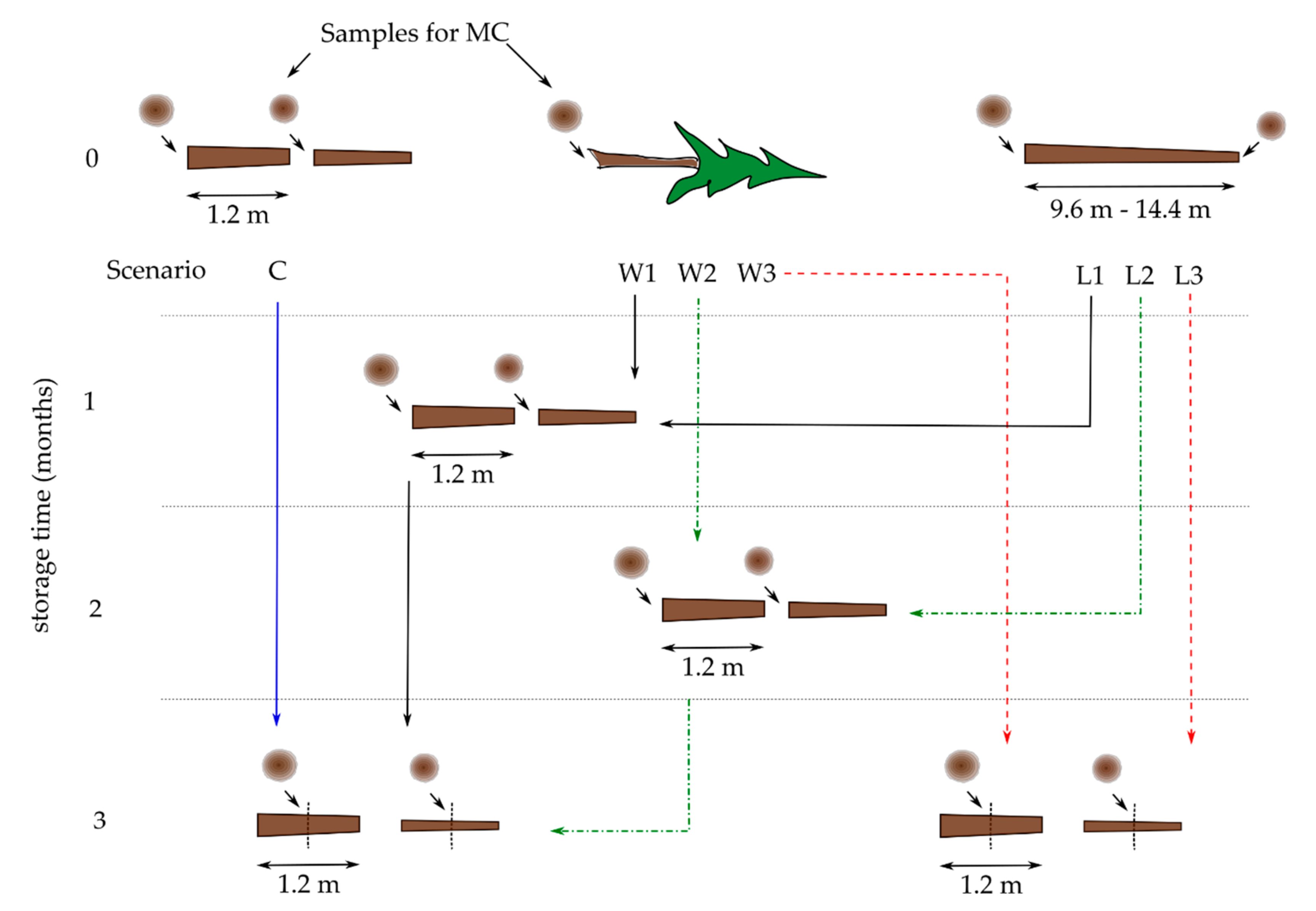 Forests 11 00668 g002 Forests 11 00668 g002