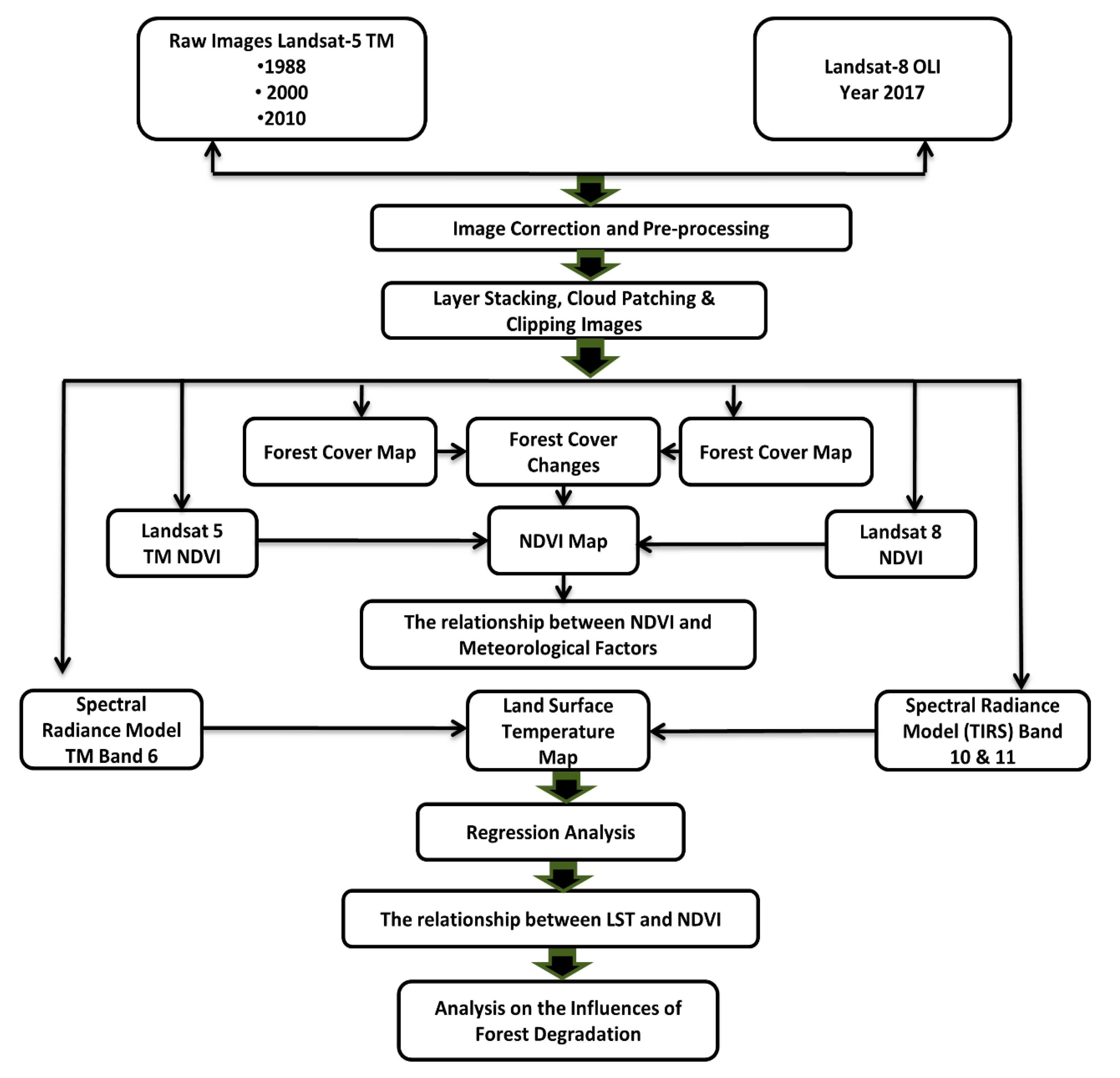 Forests 11 00670 g004 Forests 11 00670 g004