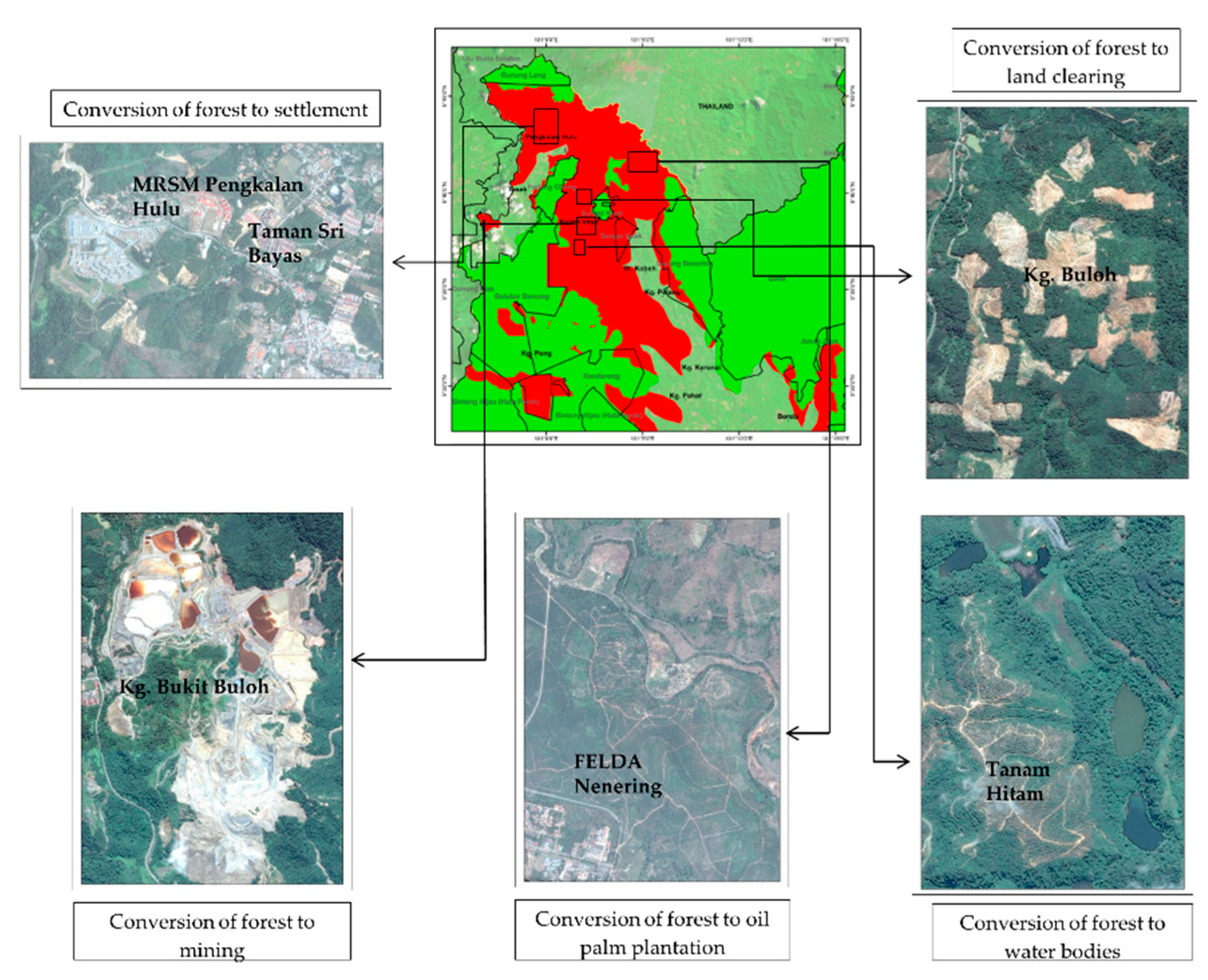 Forests 11 00670 g006 Forests 11 00670 g006