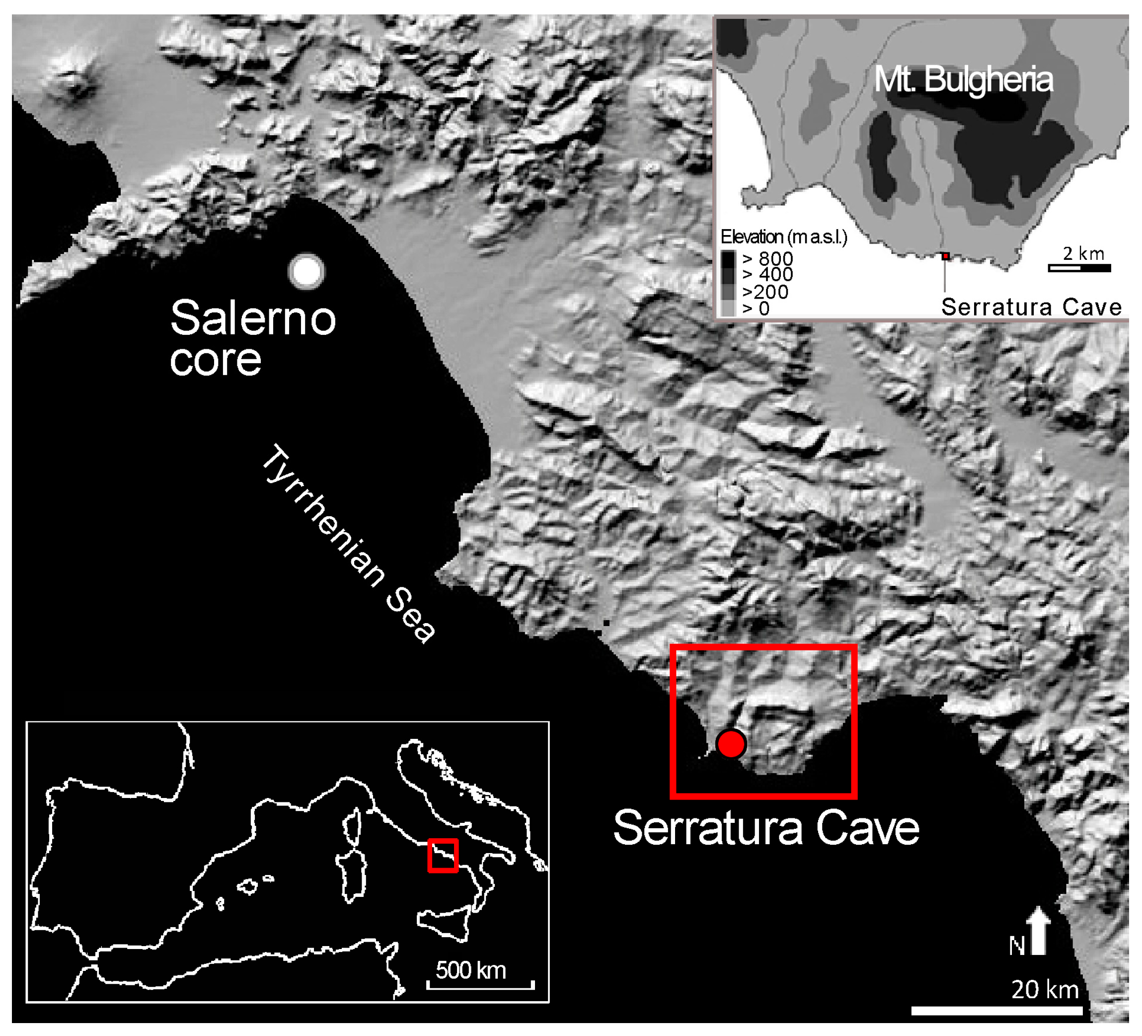 Forests 11 00673 g001