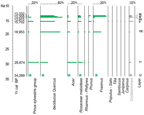 Forests Free Full Text Coastal Pine Oak Glacial Refugia In The Mediterranean Basin A Biogeographic Approach Based On Charcoal Analysis And Spatial Modelling Html Forests Free Full Text Coastal Pine Oak Glacial Refugia In The Mediterranean Basin A Biogeographic Approach Based On Charcoal Analysis And Spatial Modelling Html