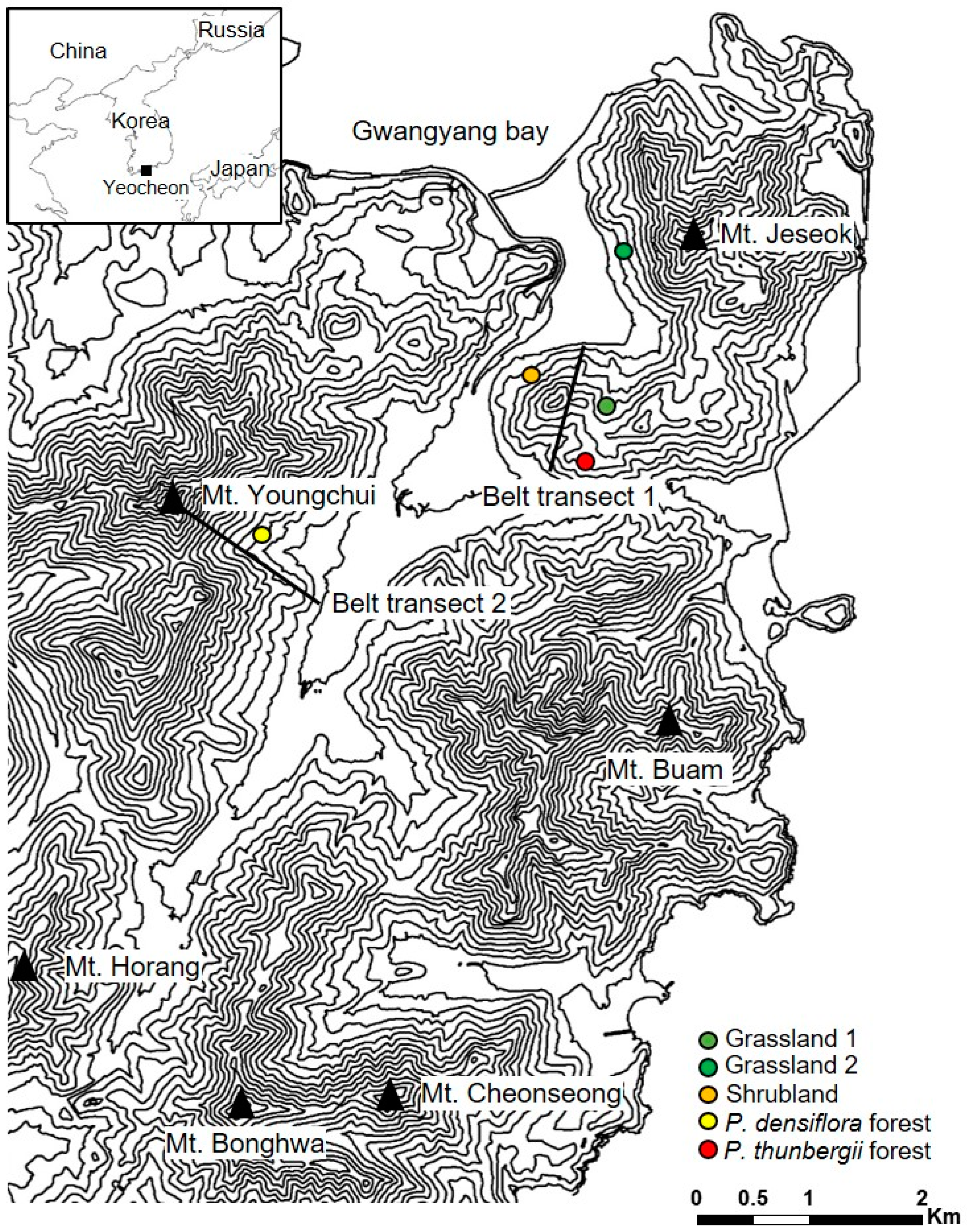 Forests 11 00674 g001