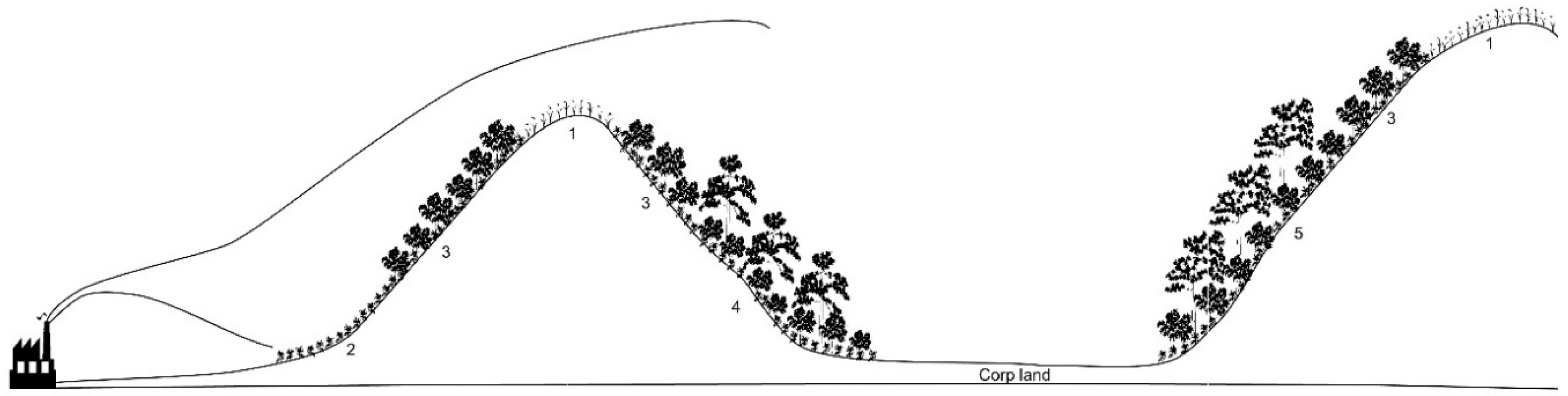 Forests 11 00674 g008