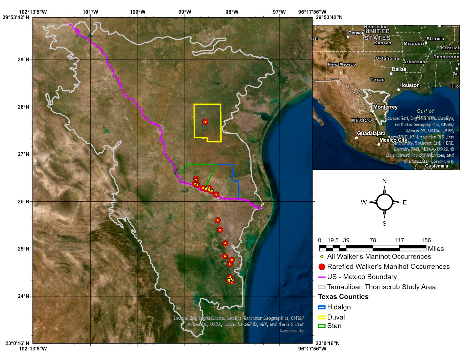 Forests 11 00689 g001
