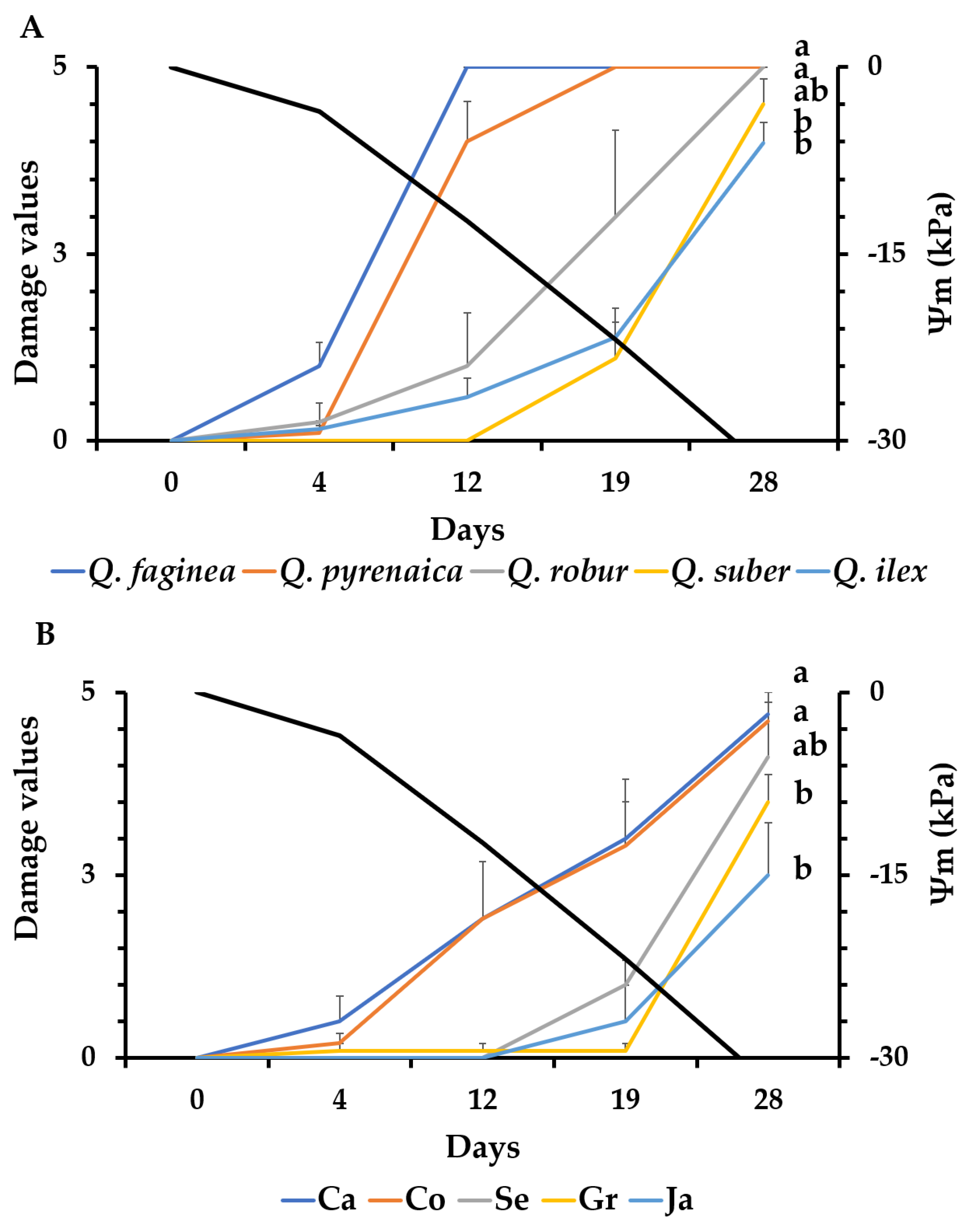 Forests 11 00707 g001 Forests 11 00707 g001