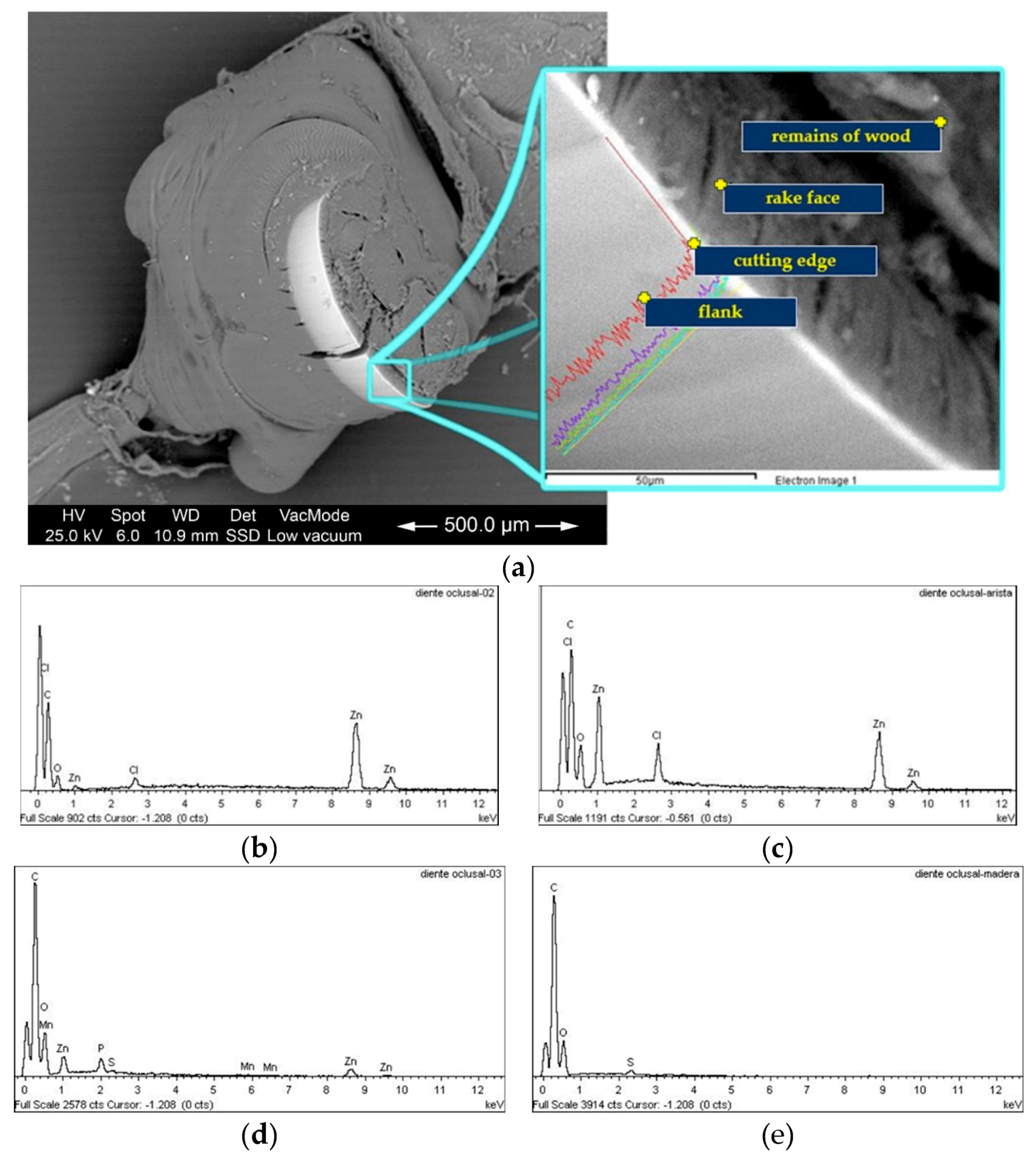 Forests 11 00715 g004 Forests 11 00715 g004