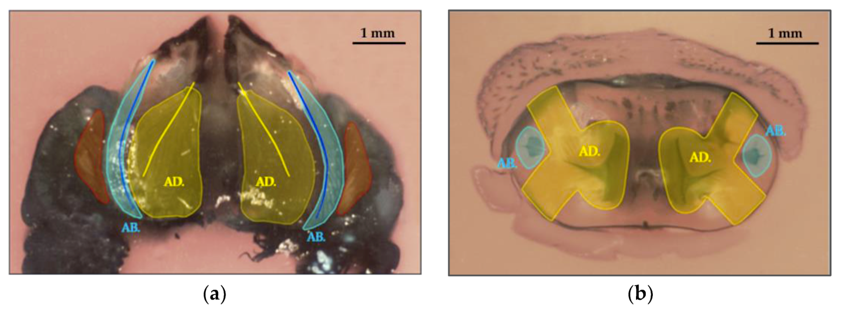 Forests 11 00715 g006 Forests 11 00715 g006