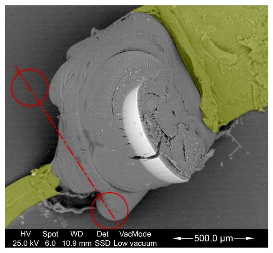 Forests 11 00715 g007 Forests 11 00715 g007