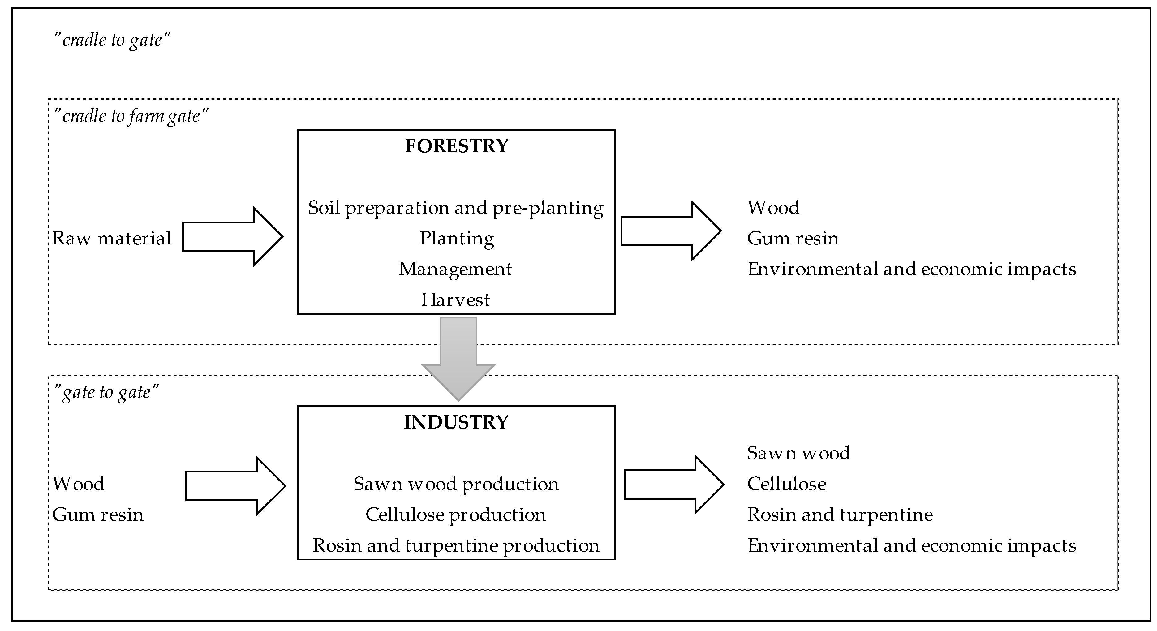 Forests 11 00723 g002 Forests 11 00723 g002